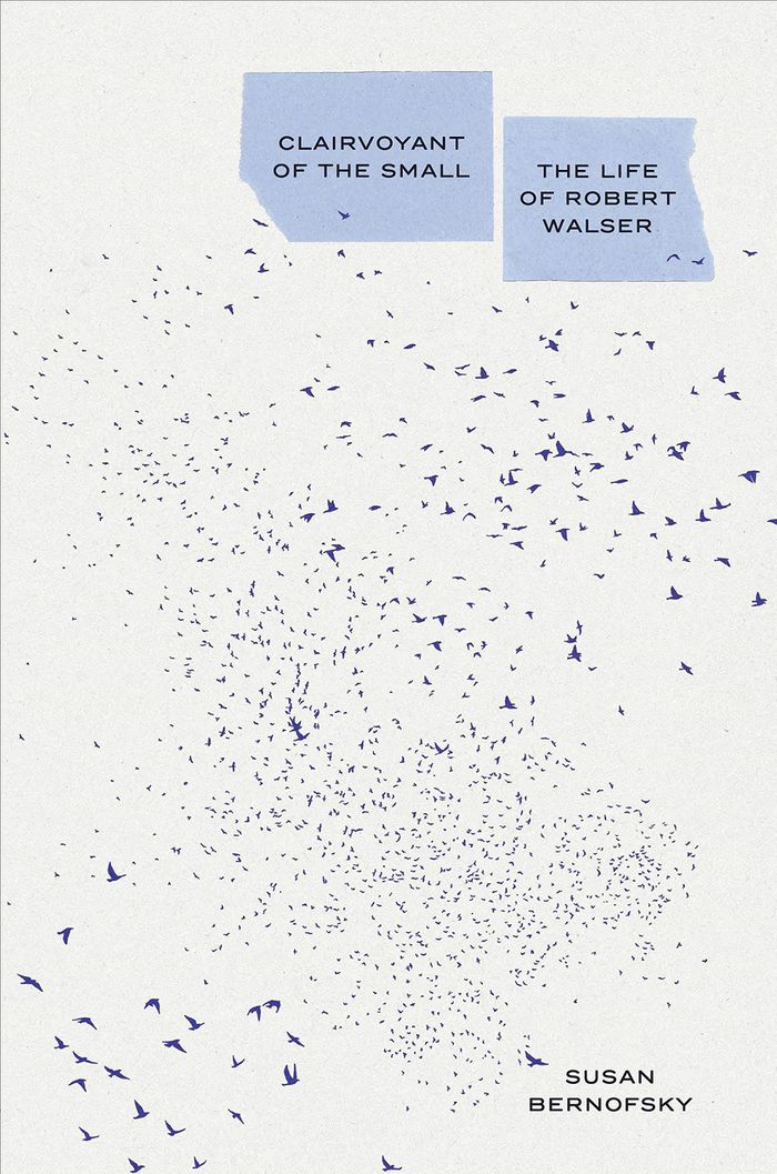 Clairvoyant of the small: life of Robert Walser