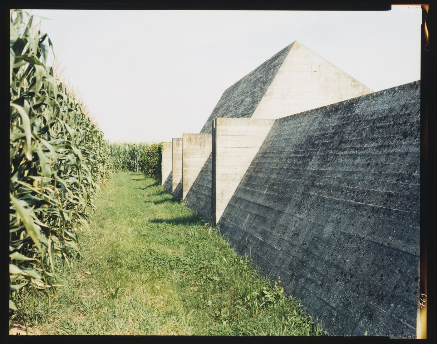 View of the perimeter wall, family tomb and a corn field, Cimitero Brion, San Vito d'Altivole, near Asolo, Italy