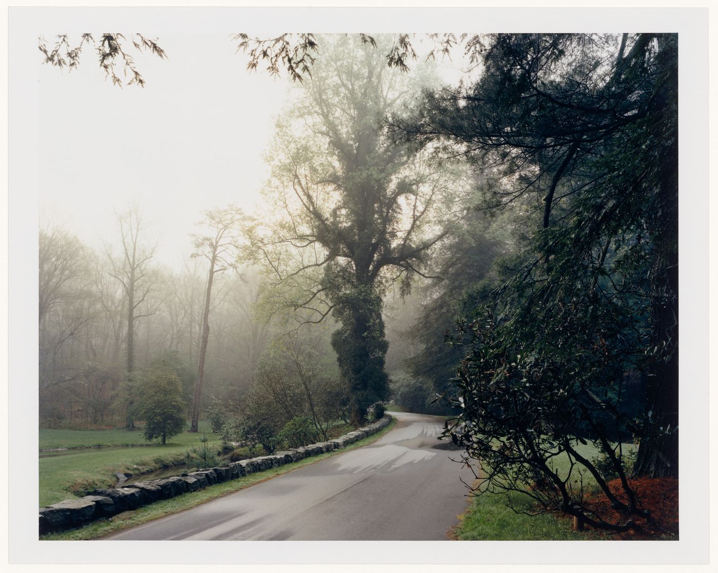 Viewing Olmsted: View of Approach Road, Biltmore the Vanderbilt Estate, Asheville, North Carolina