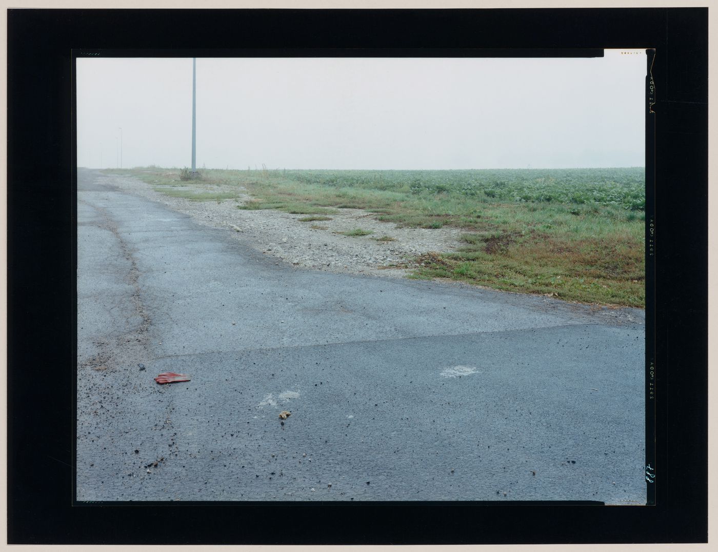 View of a road, agricultural land and street lighting units, Calais, France (from the series "In between cities")