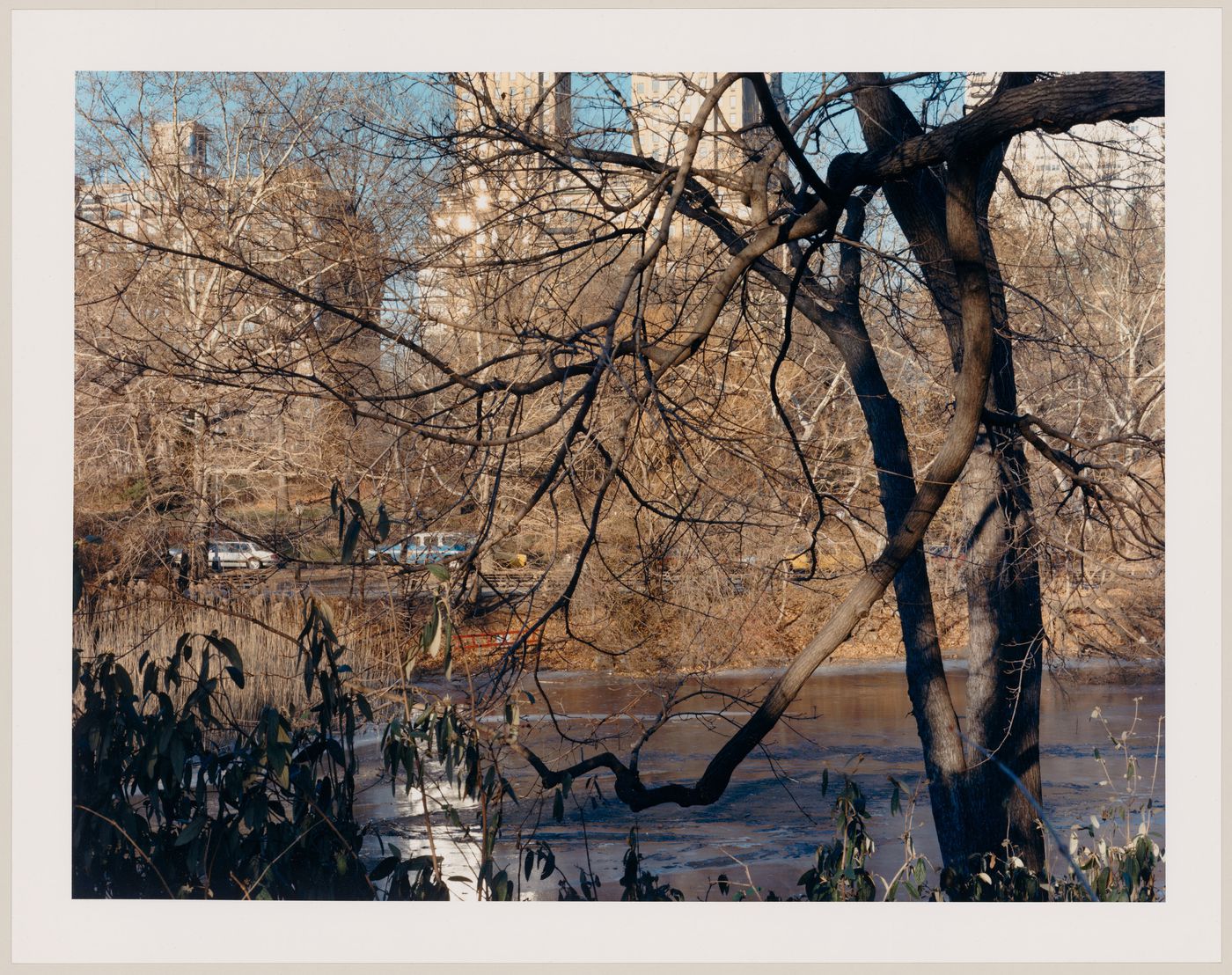 Viewing Olmsted: Looking across the Lake from Cherry Hill, Central Park, New York City, New York