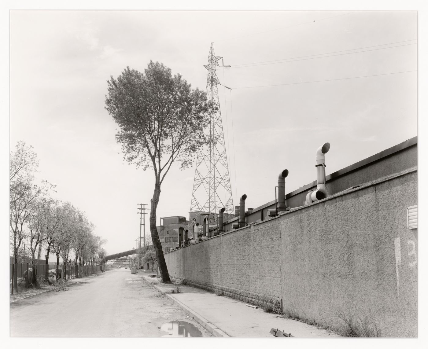 View of a street, wall, trees and utility poles, Marghera, Italy