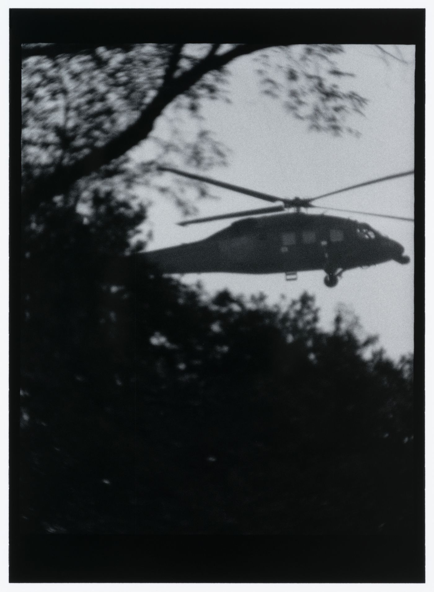 View of a Sikorsky Black Hawk helicopter in flight showing trees in the foreground, Pentagon, Arlington, Virginia, United States, from the series "Empire"