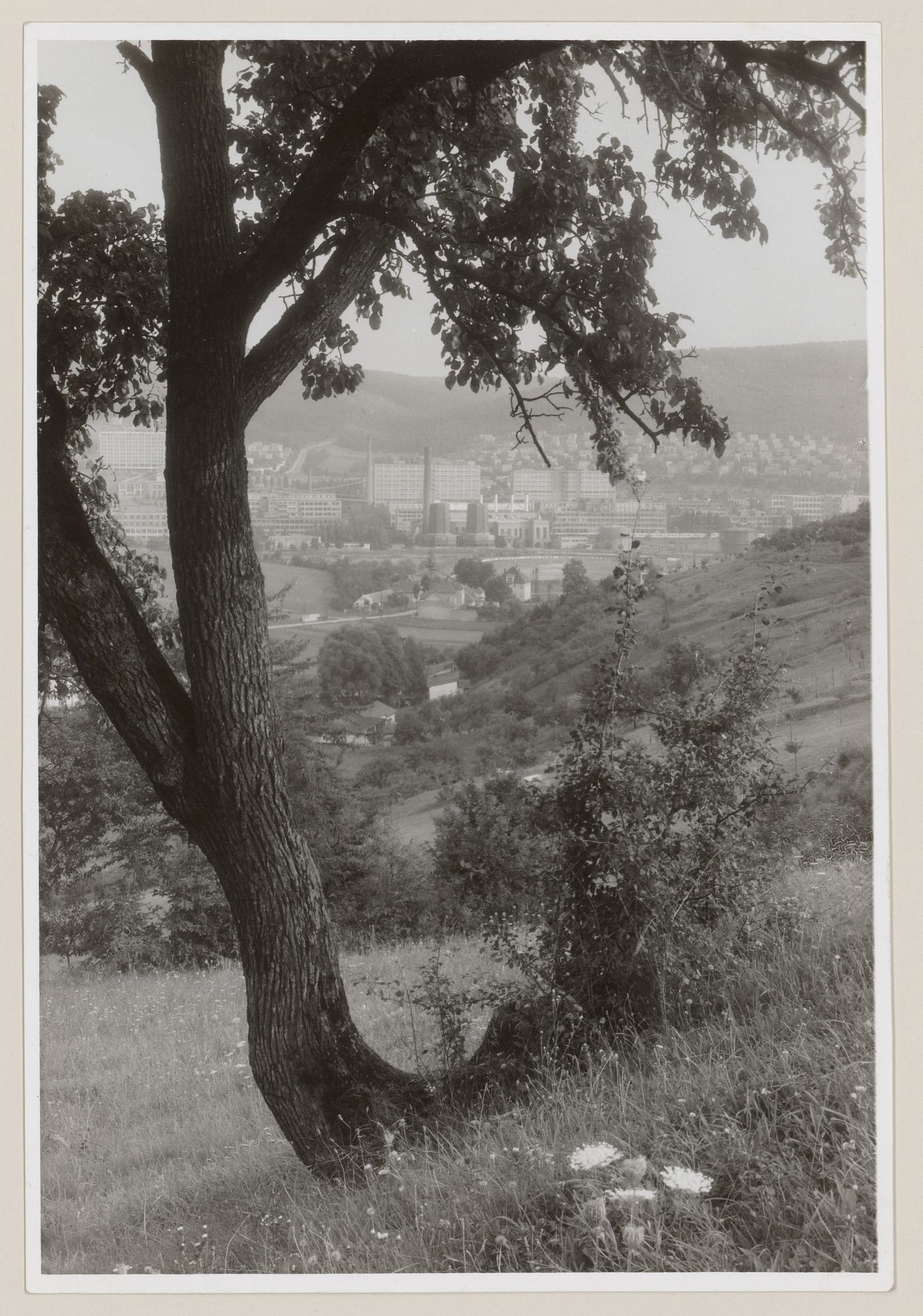 Downtown of Zlin, Czech Republic