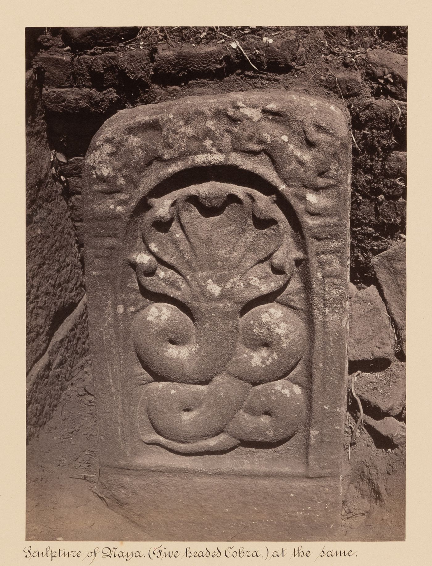 View of a relief of the Naga, the five headed cobra, Avukana, Ceylon (now Sri Lanka)