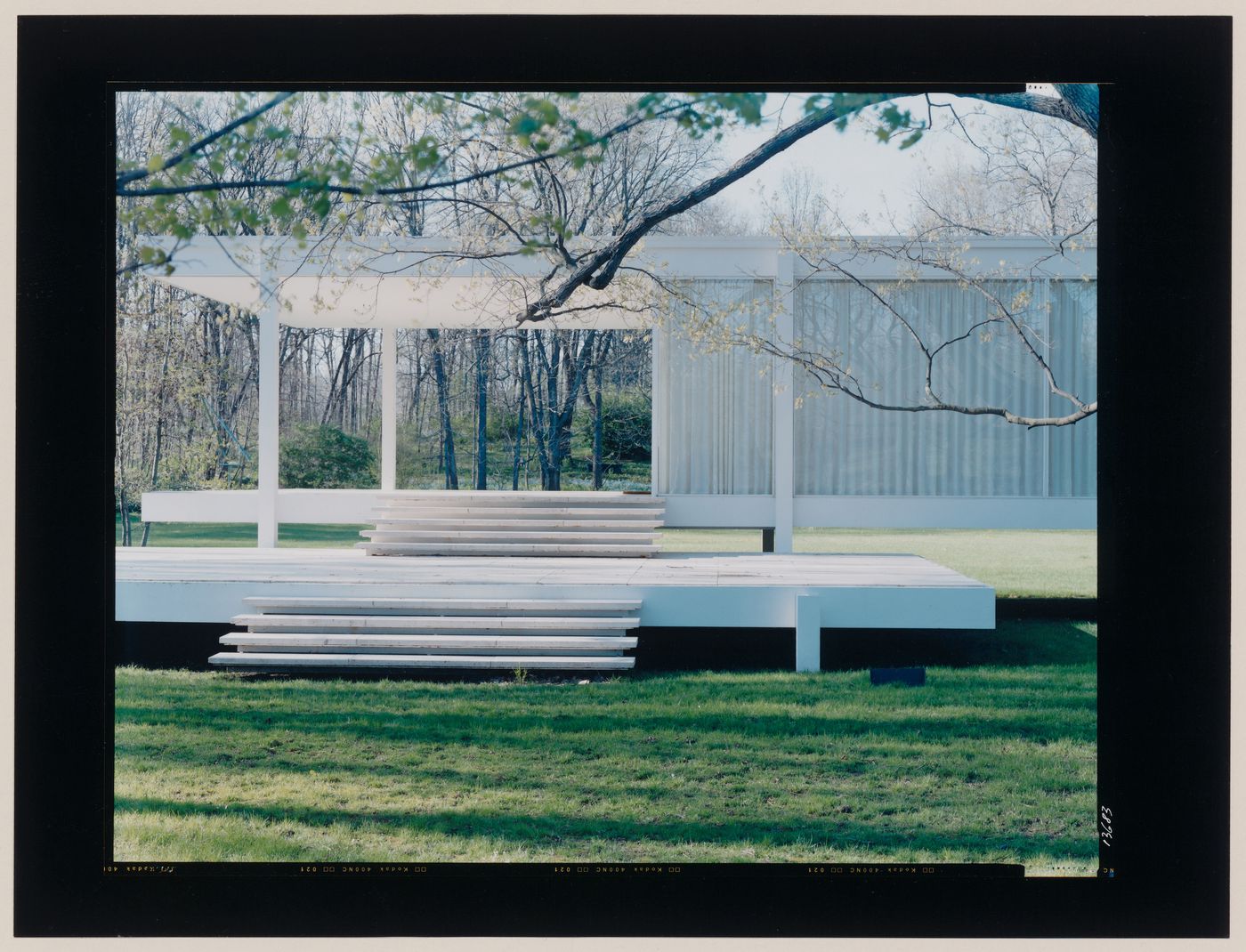 View of the Farnsworth House, Plano, Illinois