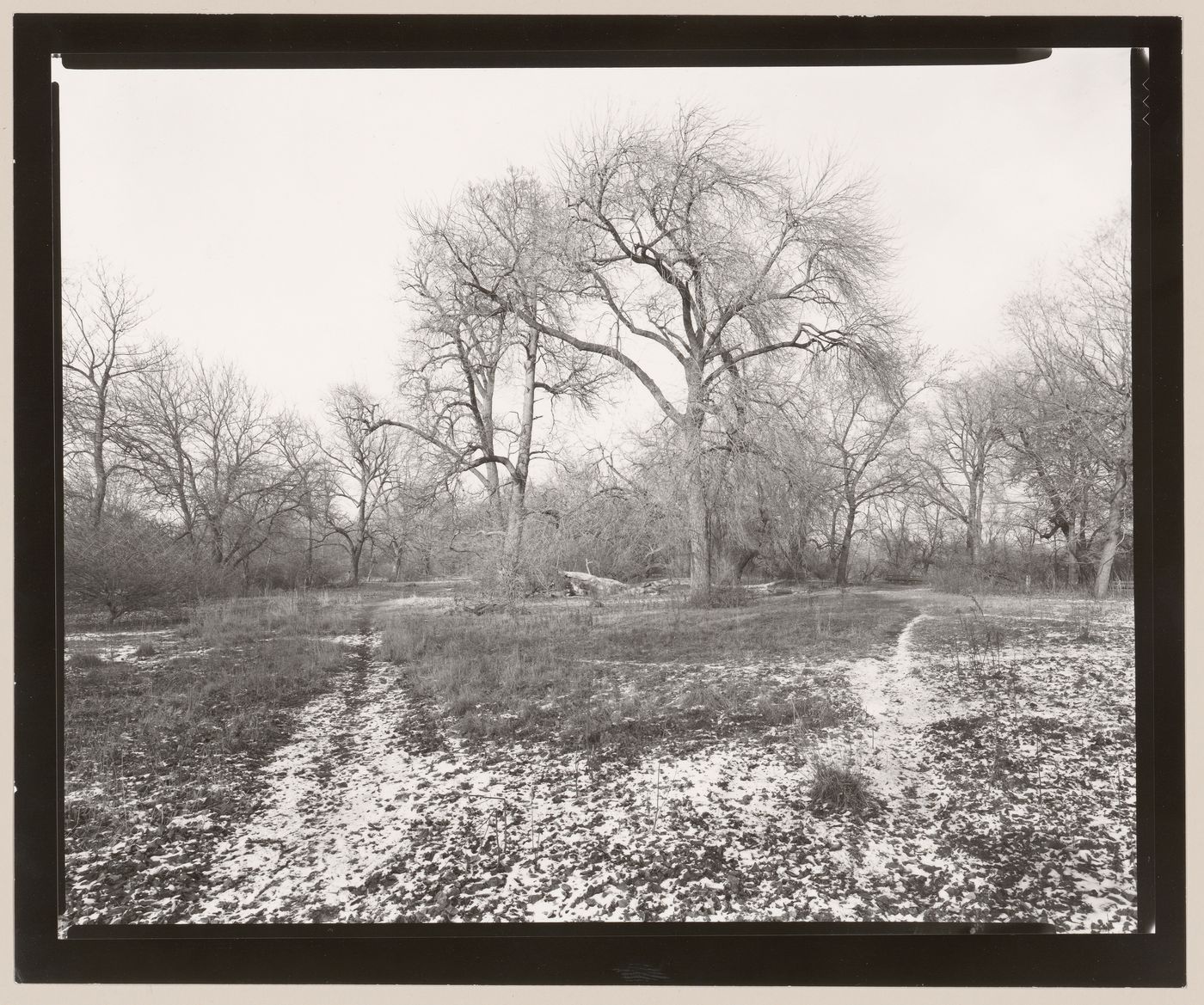 Island, Jackson Park, Chicago, Illinois