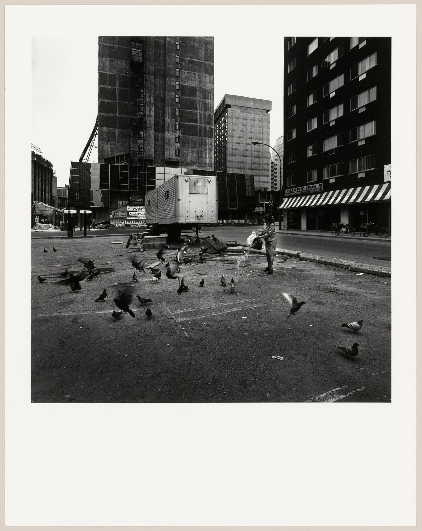 View of a woman feeding pigeons in a parking lot with high-rise buildings in the background, boulevard de Maisonneuve and rue Guy, Montréal, Québec