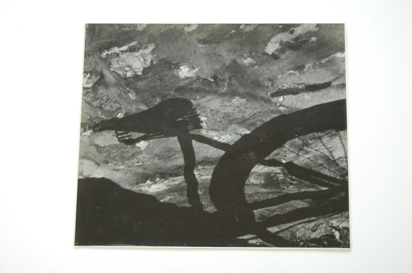 Partial view of a bicycle shadow