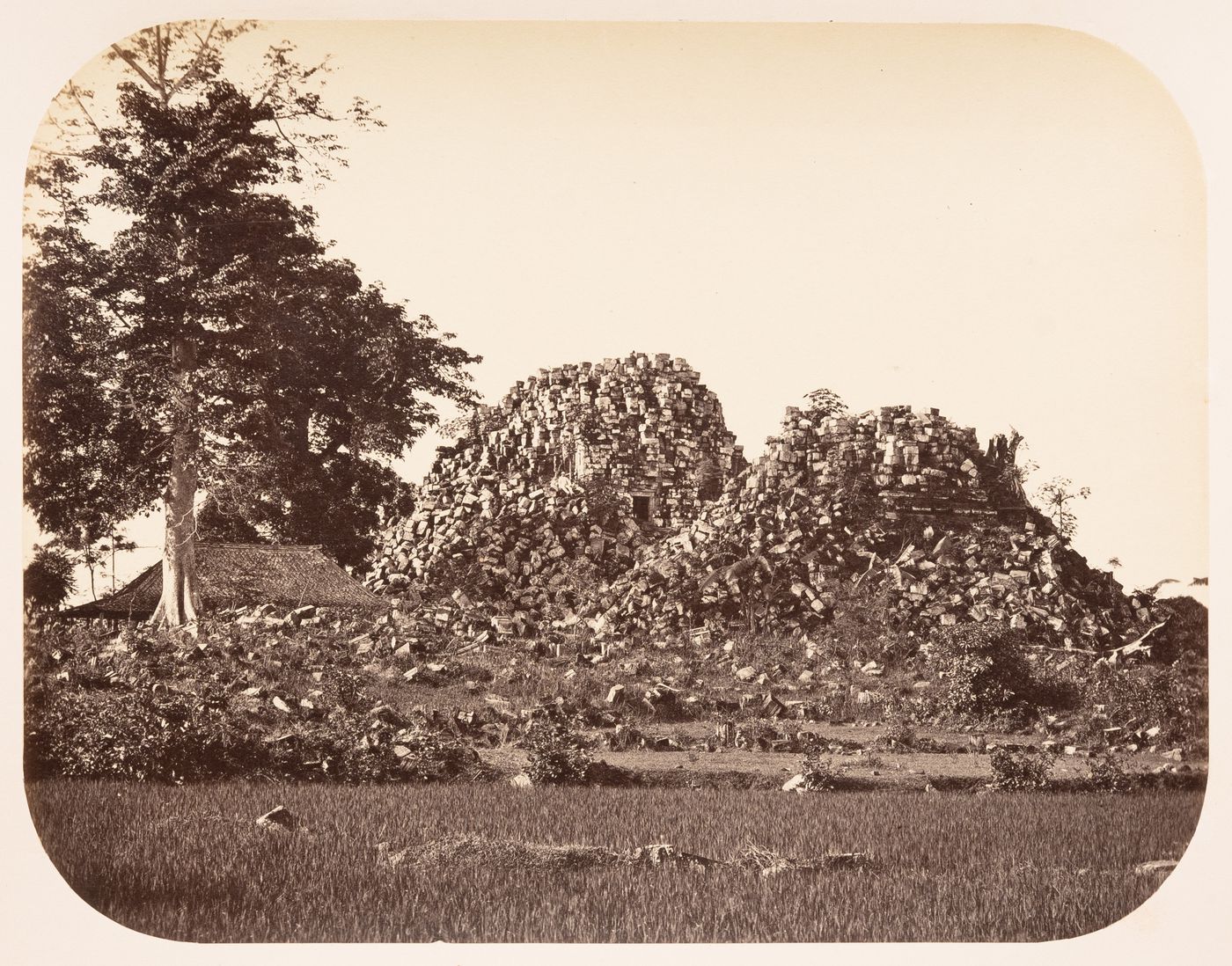 View of the ruins of stupas, Prambanan, Dutch East Indies (now Indonesia)