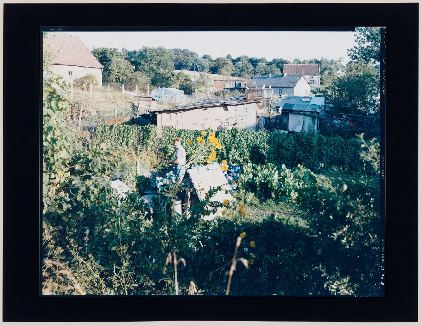 Portrait of a man in a garden showing sheds and houses, Titz, near Cologne, Germany (from the series "In between cities")