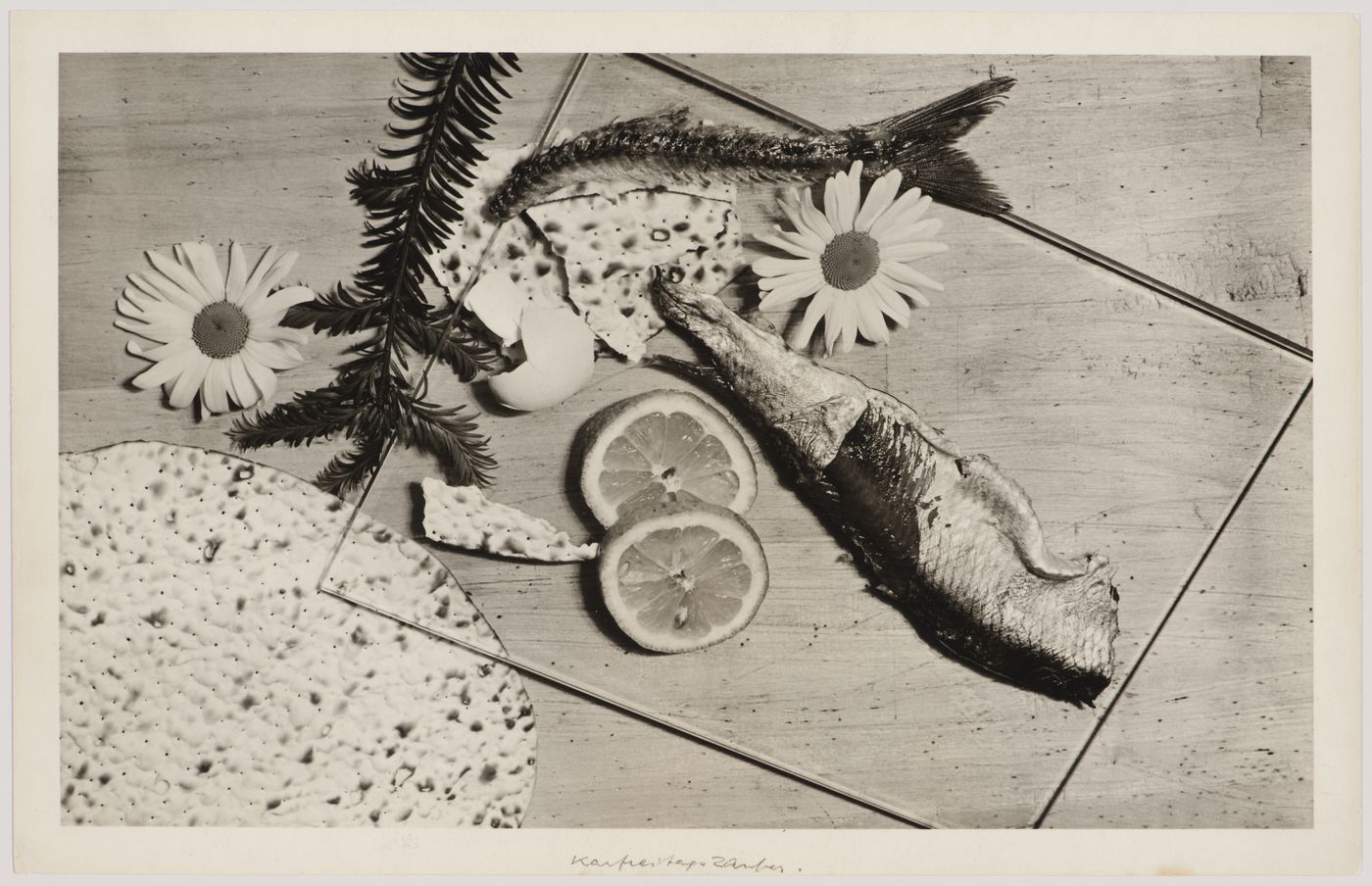 Still life by Walter Peterhans composed of fish skins and tail, matzah, lemon slices, egg shells, daisies, and an evergreen branch on a glass sheet, Bauhaus, Dessau, Germany