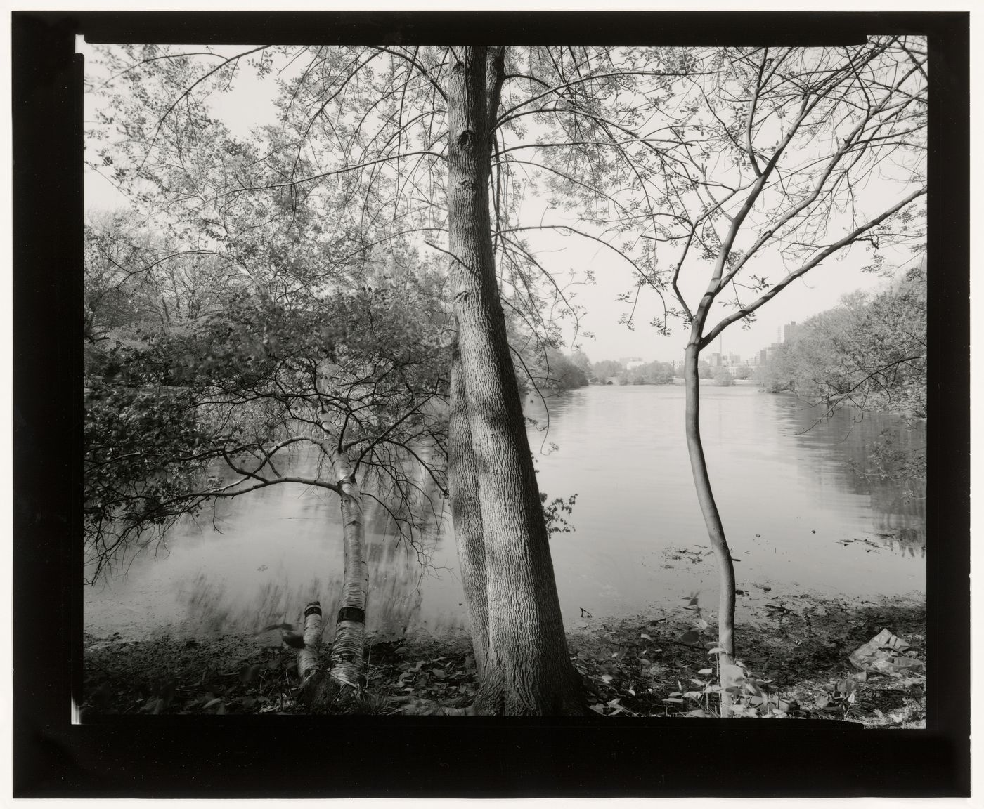 View from end of Leverett Pond looking north-east towards Boston, the Muddy River Improvement, Boston, Massachusetts