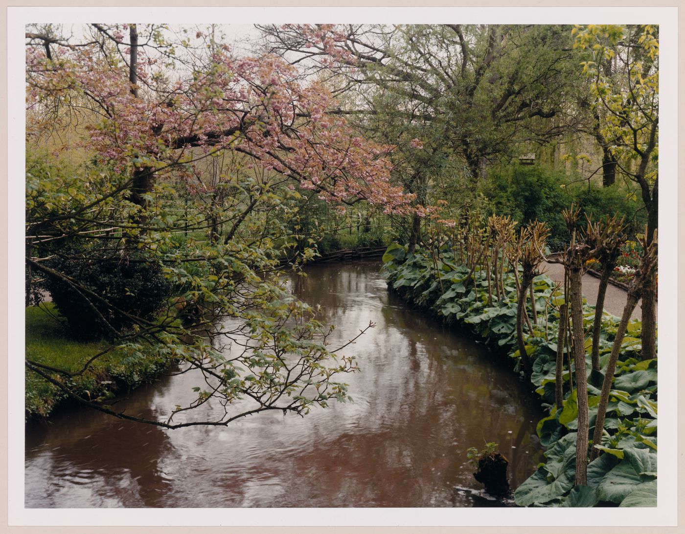 The brook in the Spring, Monet Gardens, Giverny, France