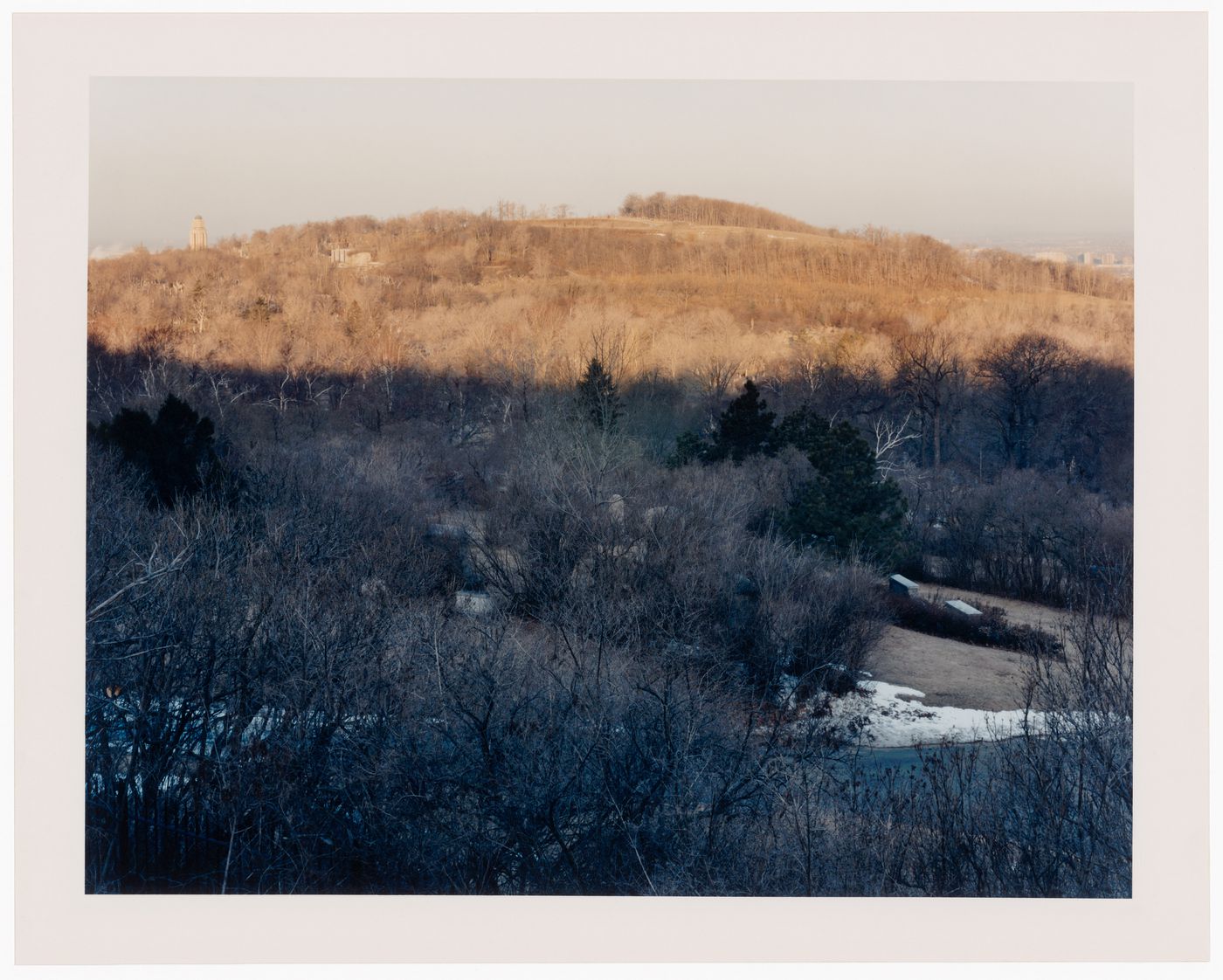 Viewing Olmsted: View from Mountain looking toward the Université de Montréal, Mont Royal, Montréal, Québec