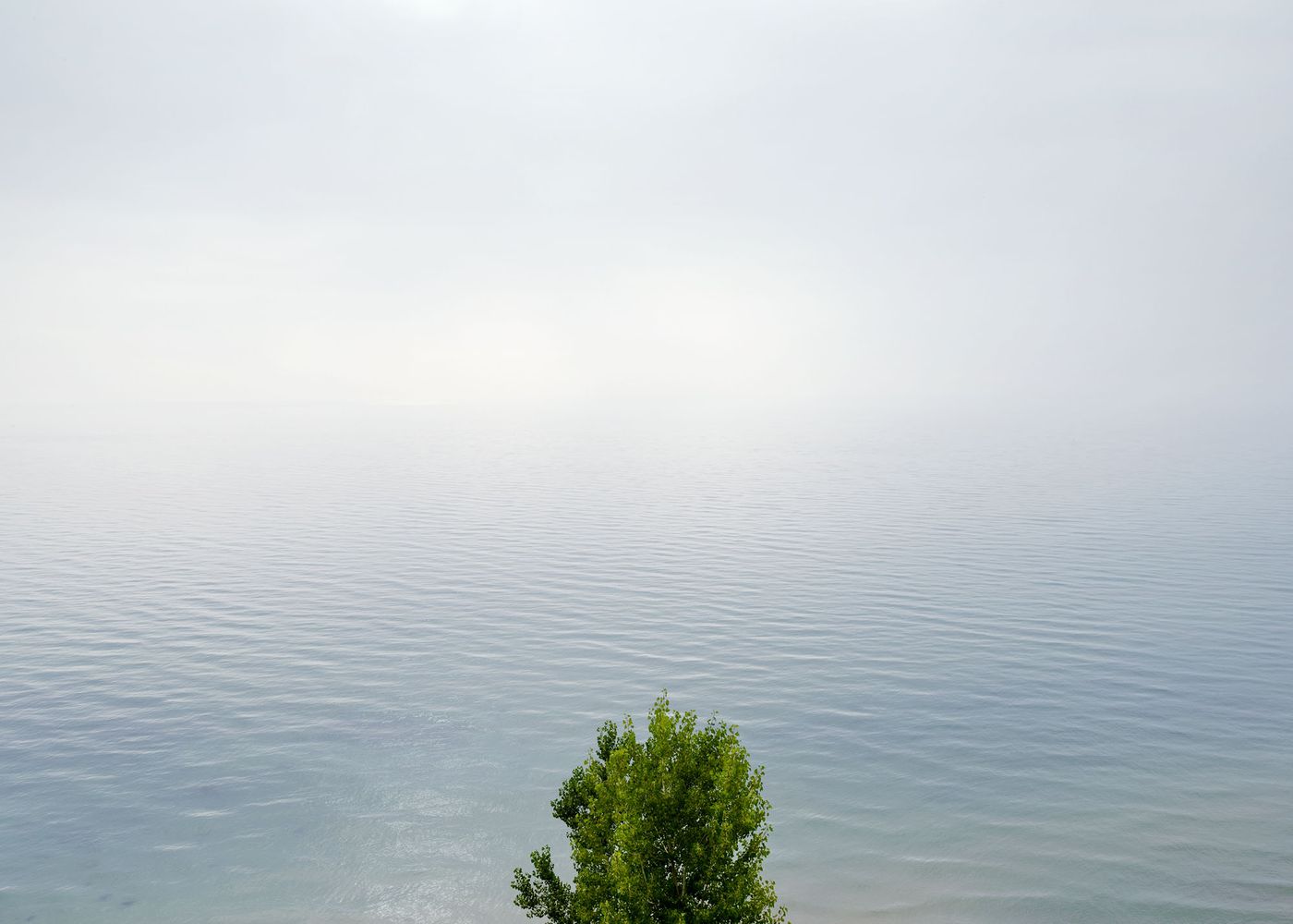 An Enduring Wilderness: View of Lake Ontario from Scarborough Bluffs, Toronto