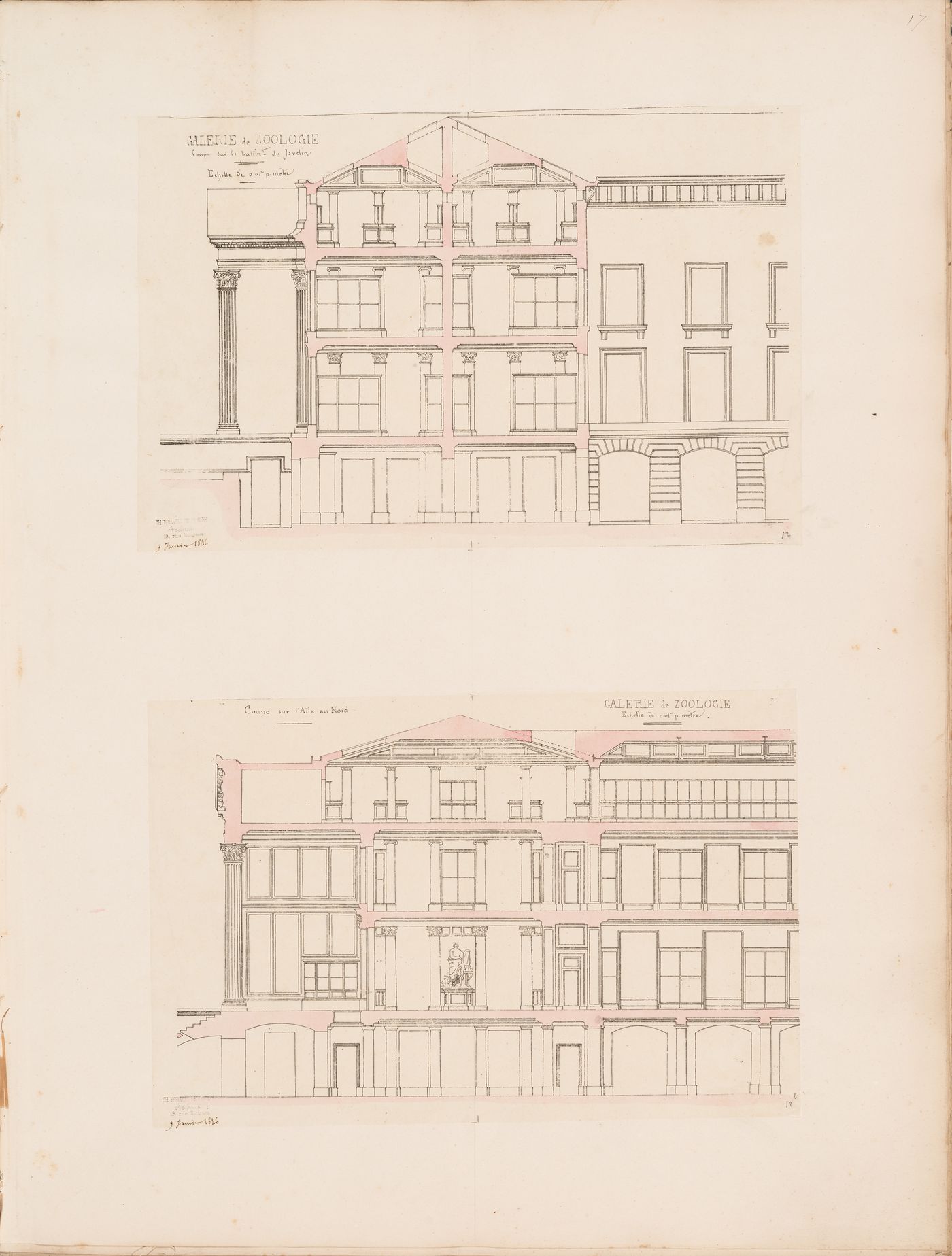Project for a Galerie de zoologie, 1846: Section through the main wing and courtyard and a section through the north wing
