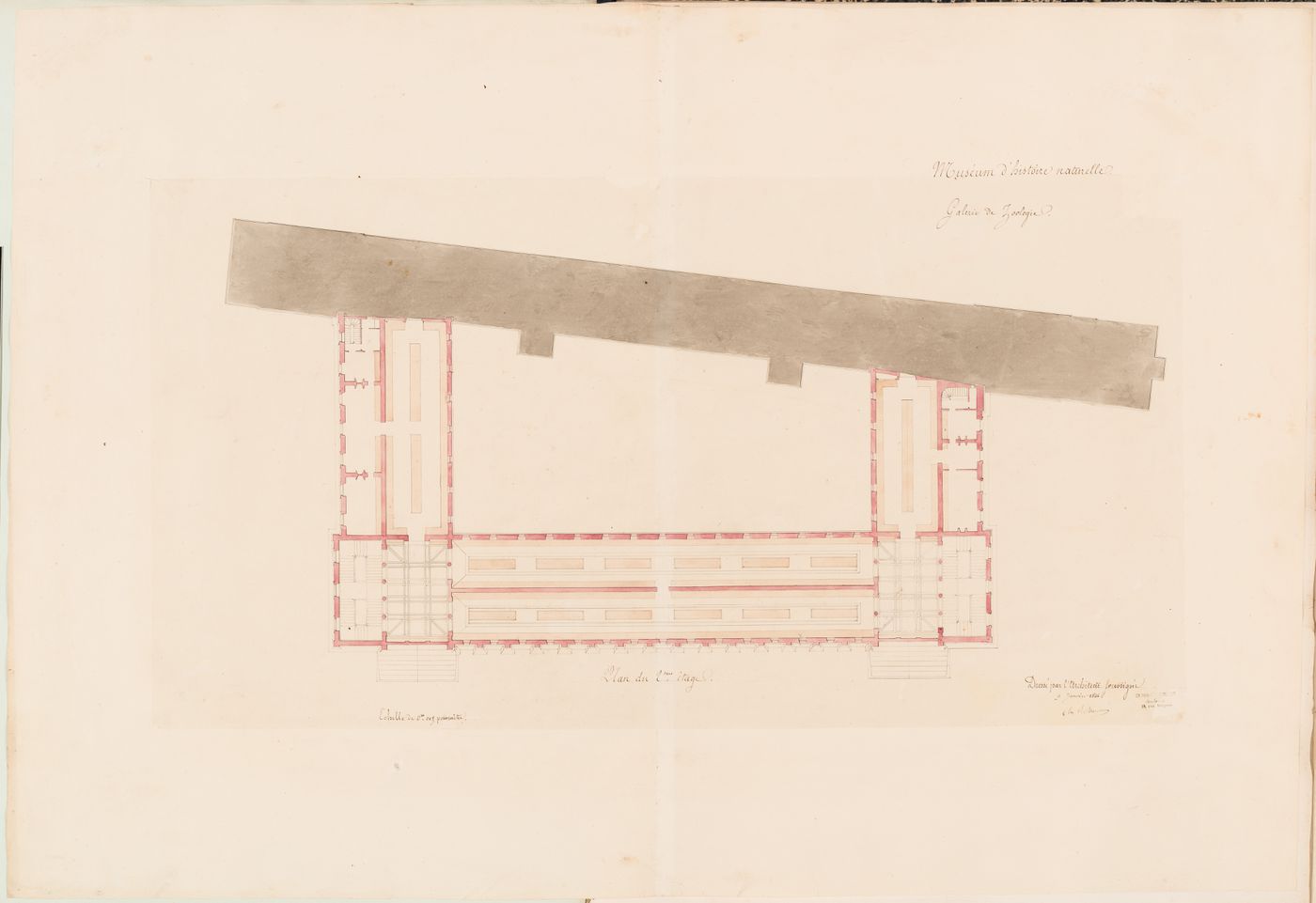 Project for a Galerie de zoologie, 1846: Second floor plan