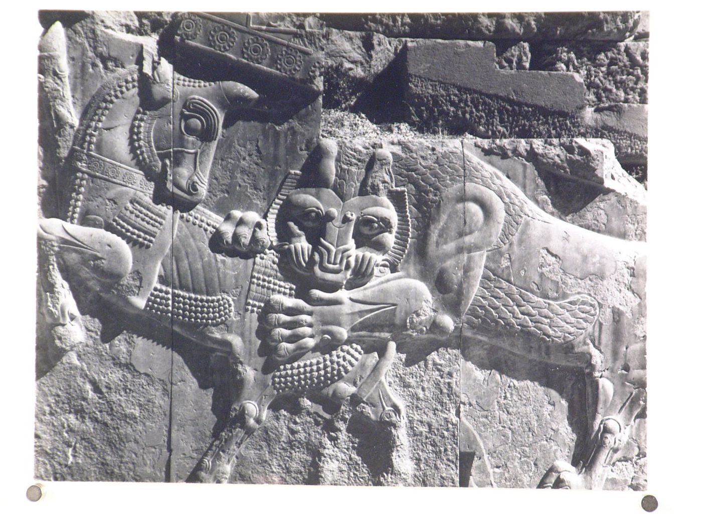 Relief detail showing a lion attacking a bull, Persepolis, Iran