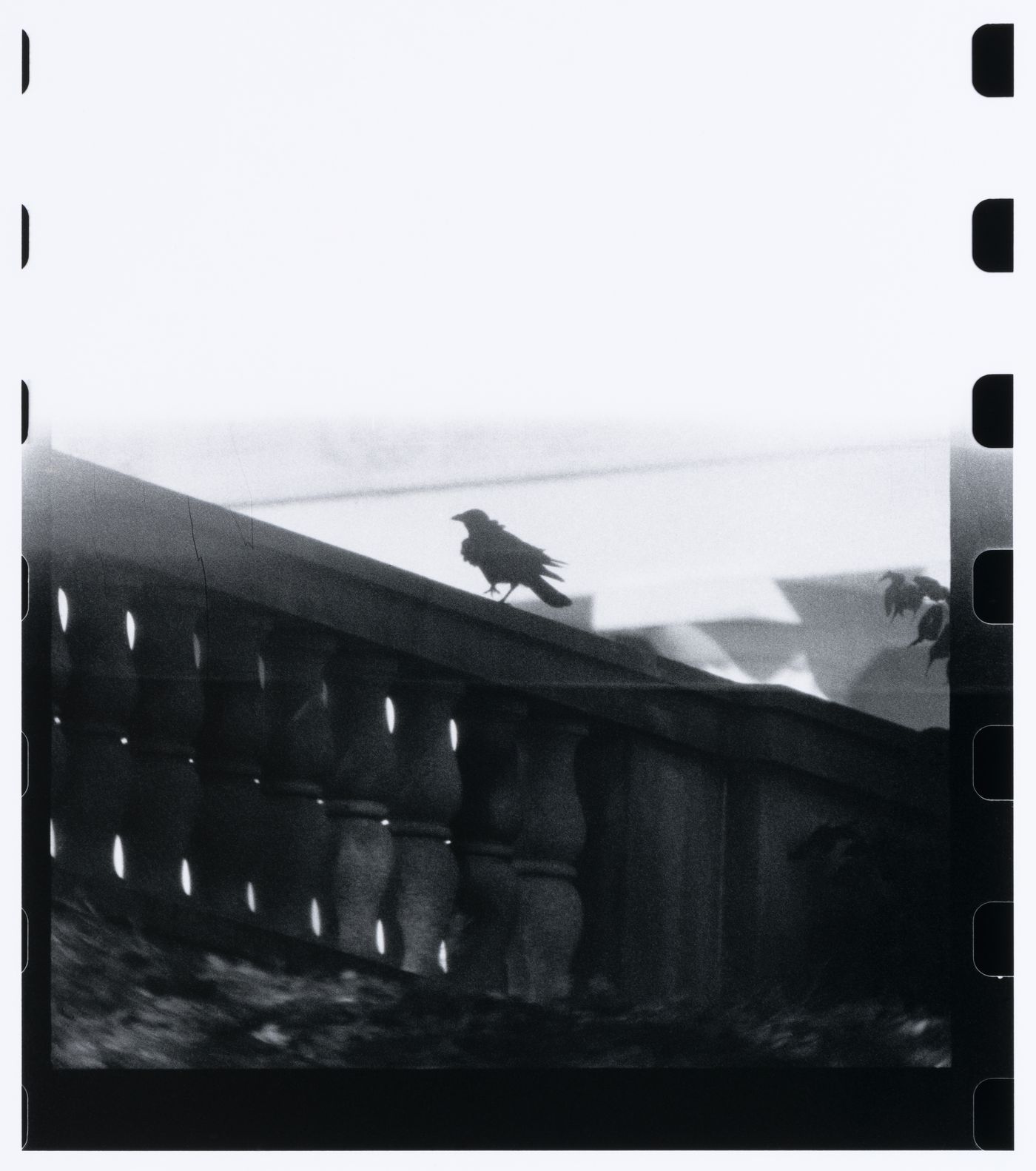 Partial view of the Arlington Memorial Bridge showing a balustrade and a bird with the Lincoln Memorial in the background, Washington D.C., United States, from the series "Empire"