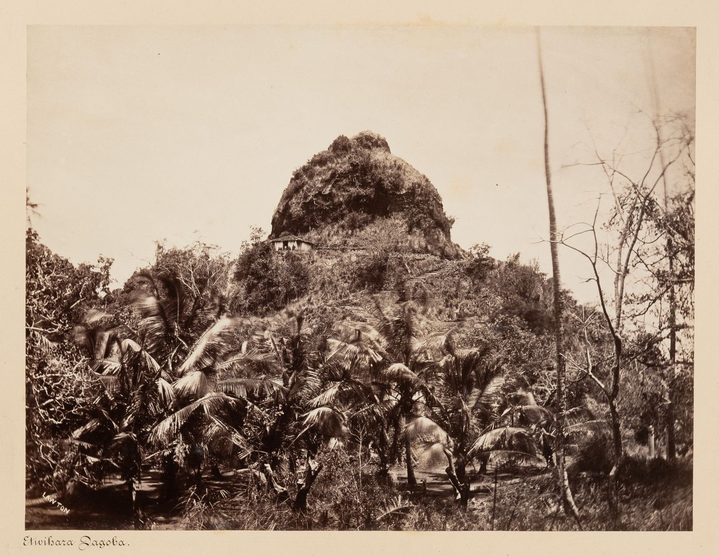 View of the At Vehara Kanda (also known as the Elephant Dagoba Peak) showing a building and staircase with trees in the foreground, Mihintale, Ceylon (now Sri Lanka)