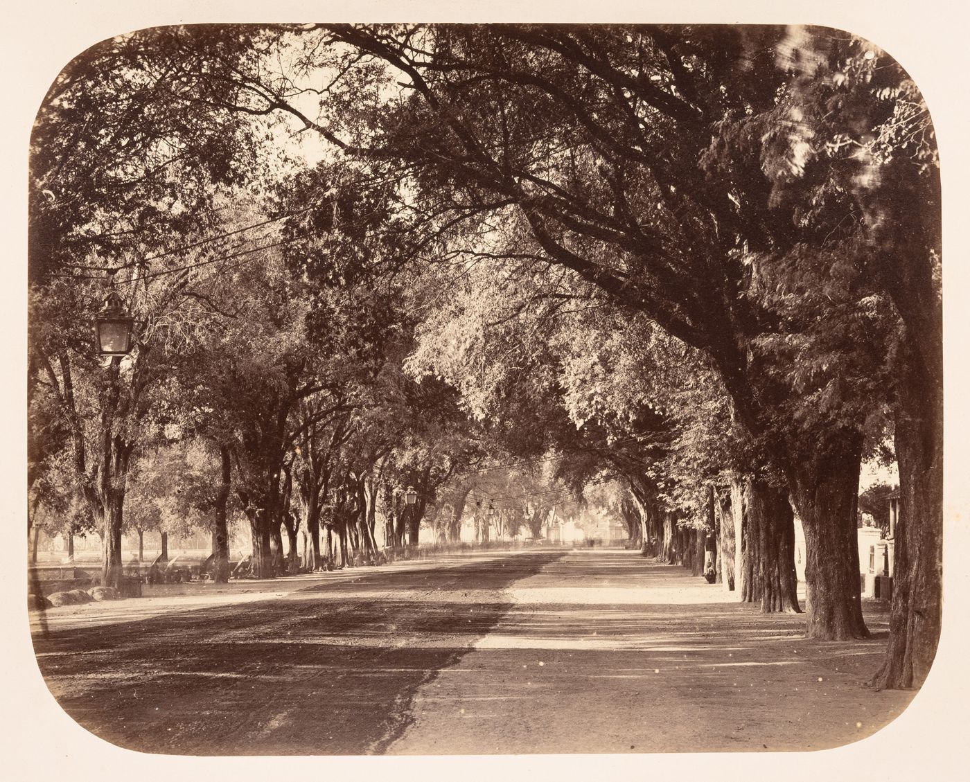 View of an avenue, Solo (now also known as Surakarta), Dutch East Indies (now Indonesia)