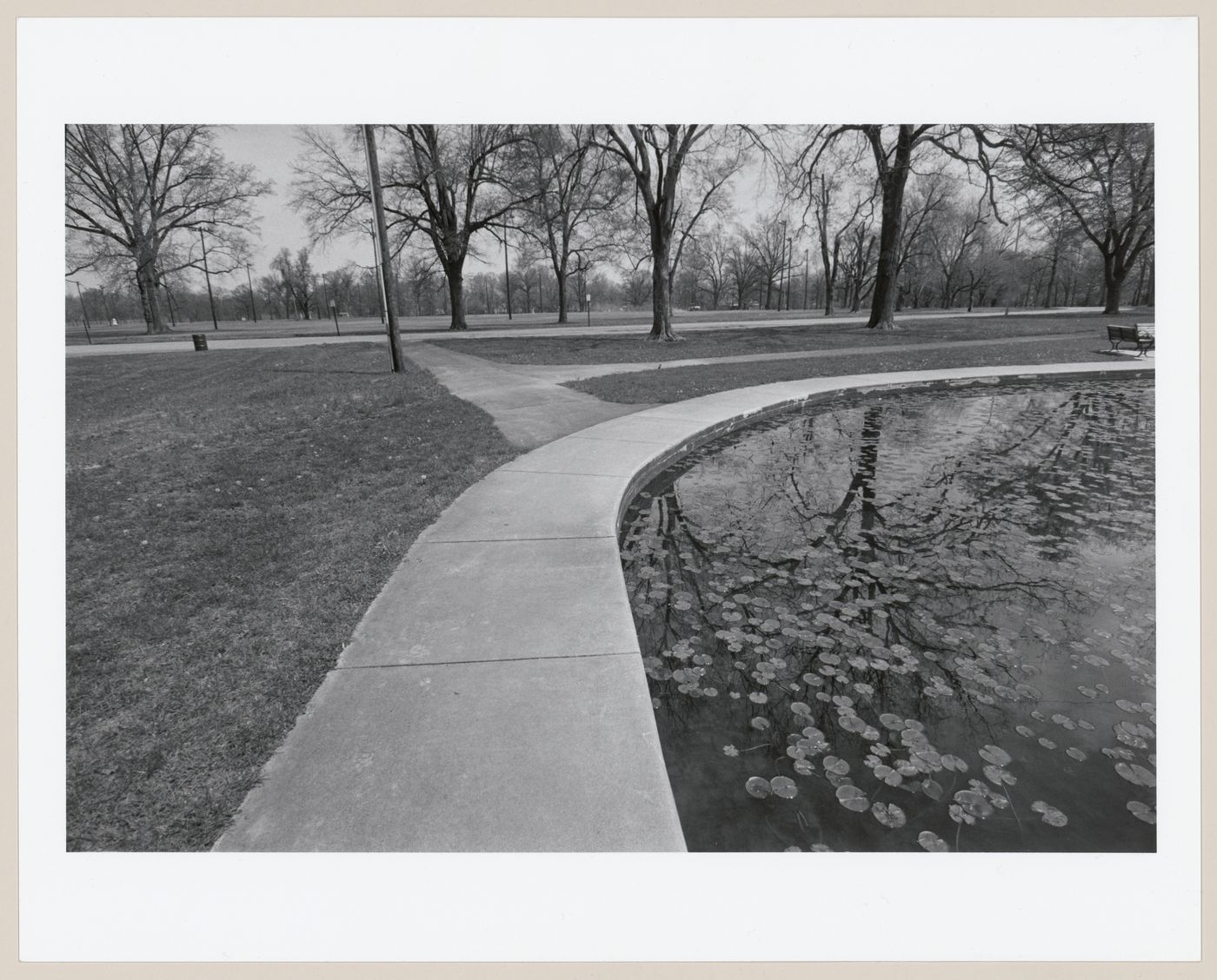 View along edge of pond, Shawnee Park, Louisville, Kentucky