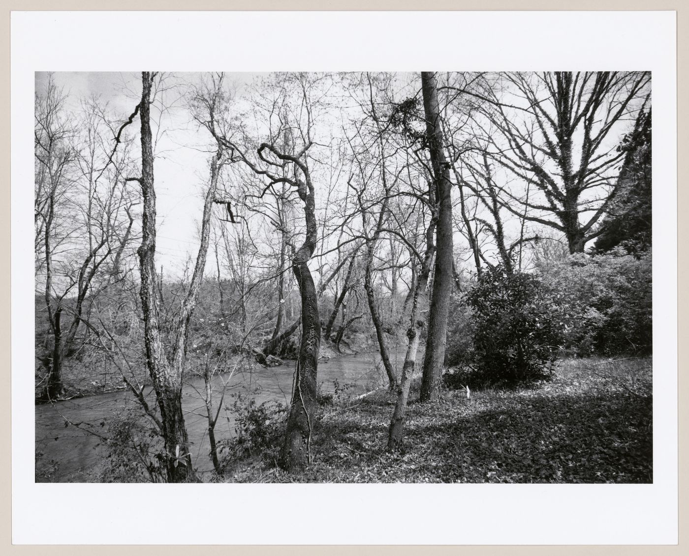 View along approach road, The Vanderbilt Estate, "Biltmore", Asheville, North Carolina