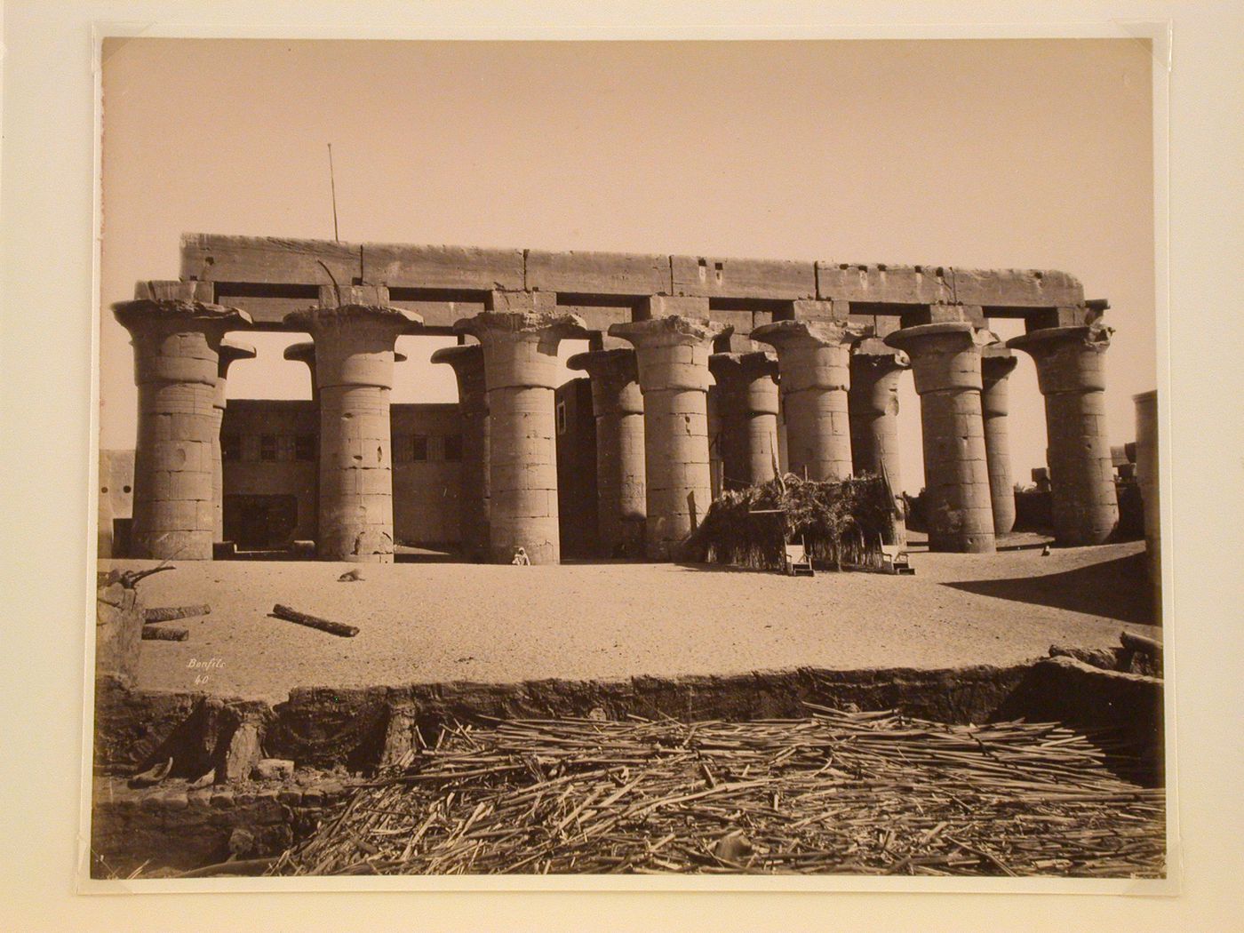 Columnes de Lougsor. Egypte