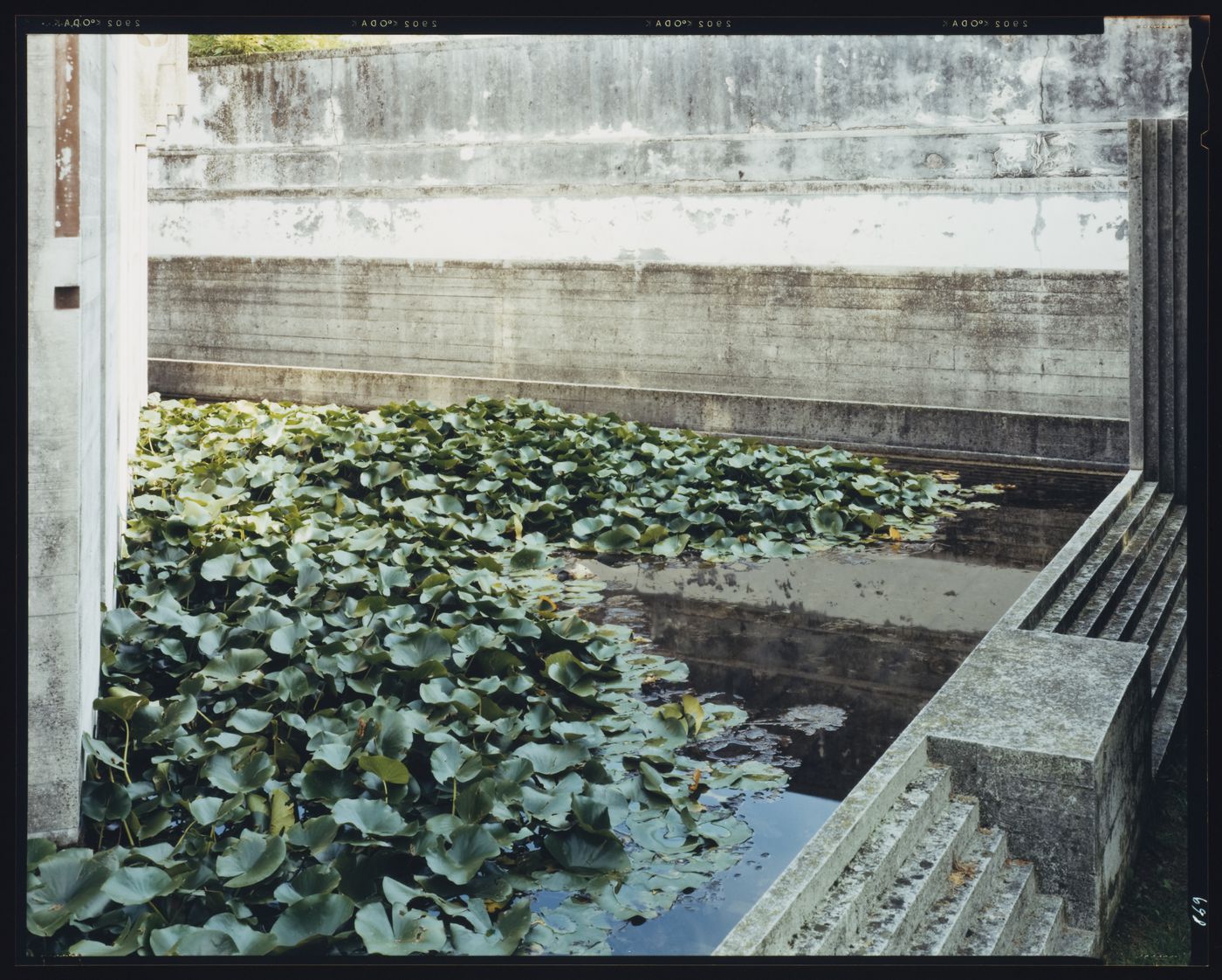 View of pond in front of the chapel, Cimitero Brion, San Vito d'Altivole, near Asolo, Italy