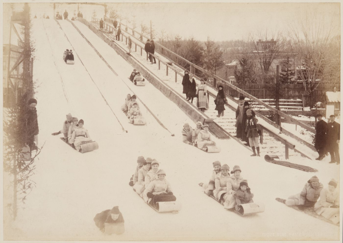View of members of the Tuque Blue Snow Shoe Club sledding down a toboggan run, Montréal, Québec