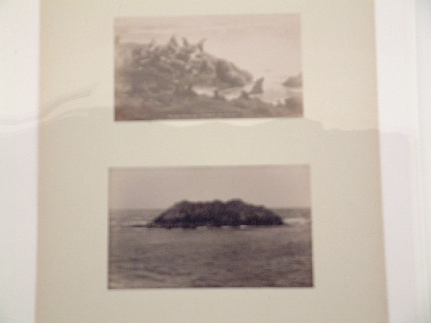 View of Seal Rocks near Cliff House, Sutro Heights, San Francisco, California