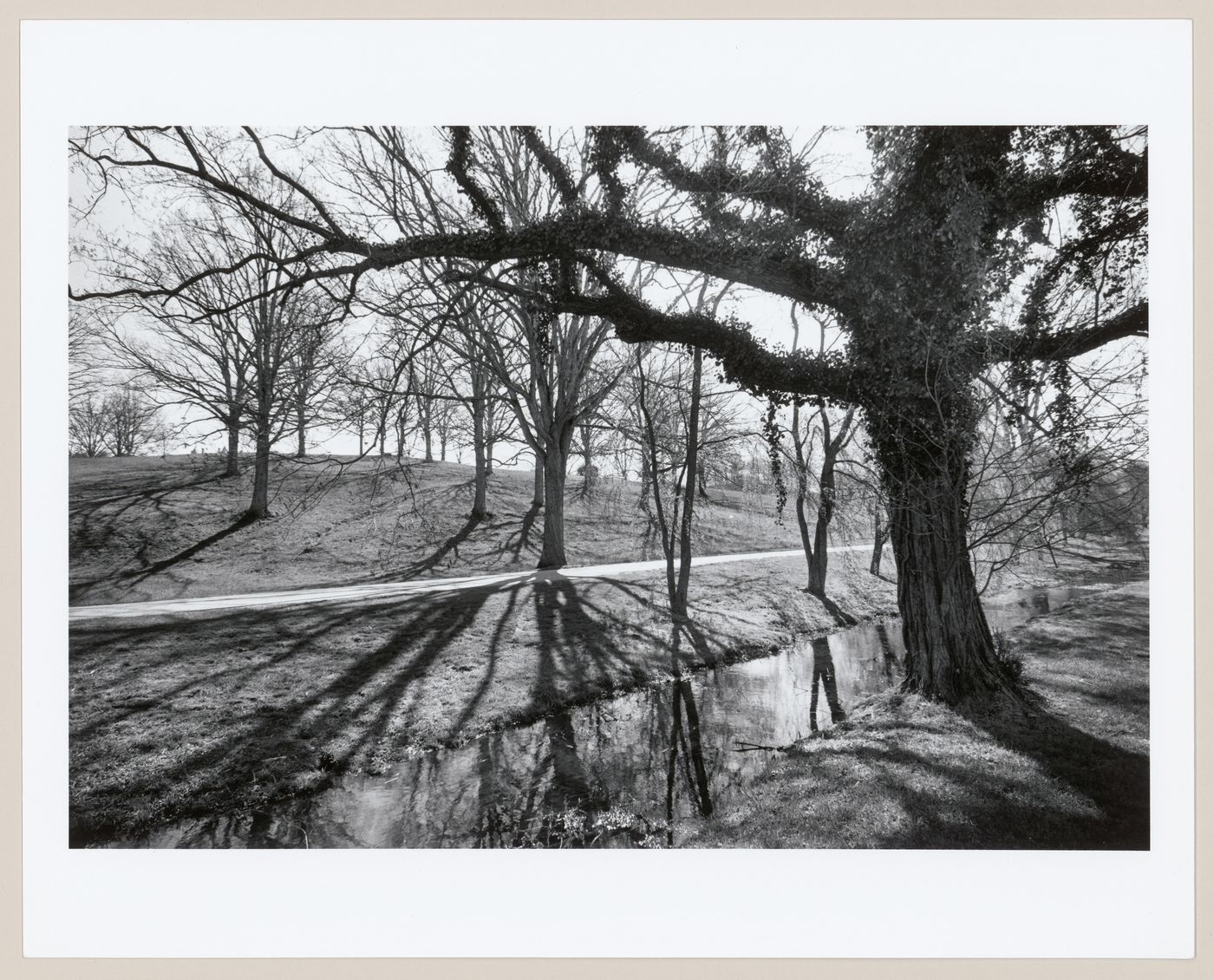 Road through Deer Park, The Vanderbilt Estate, "Biltmore", Asheville, North Carolina