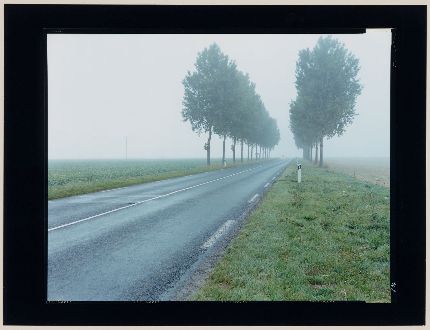 View of a tree-lined road, Leuze, near Namur, Belgium (from the series "In between cities")