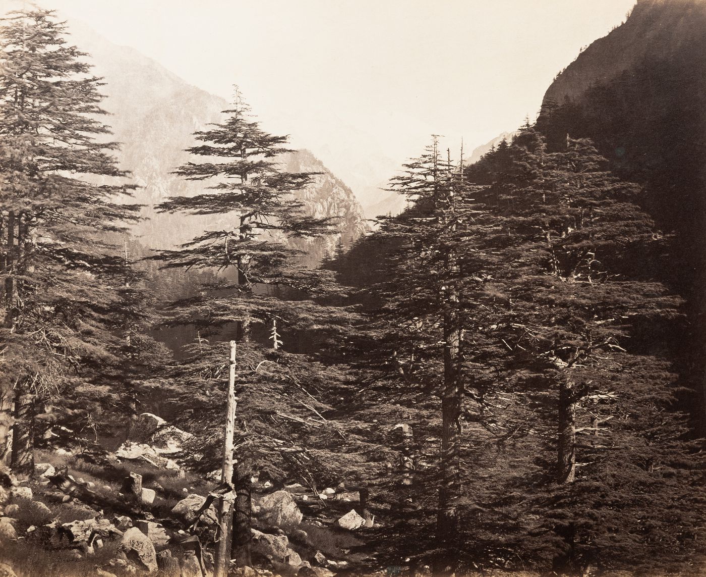 View of Himalayas, Gangootri (now Gangotri), India