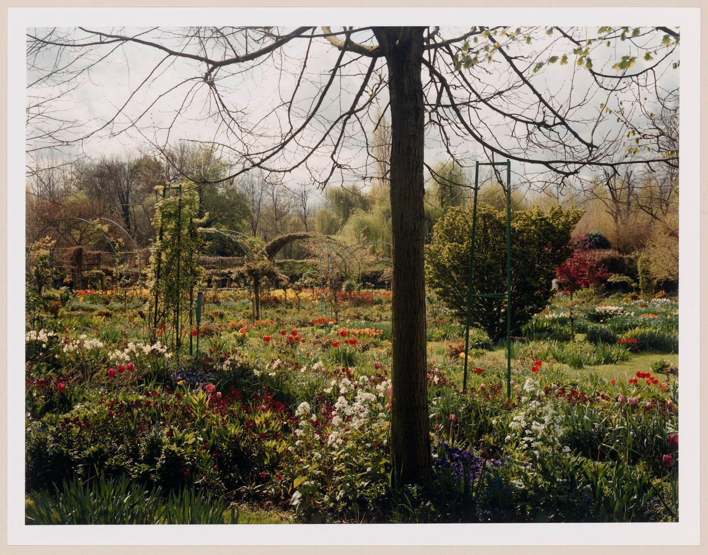 The enclosed Norman garden in the Spring, Monet Gardens, Giverny, France