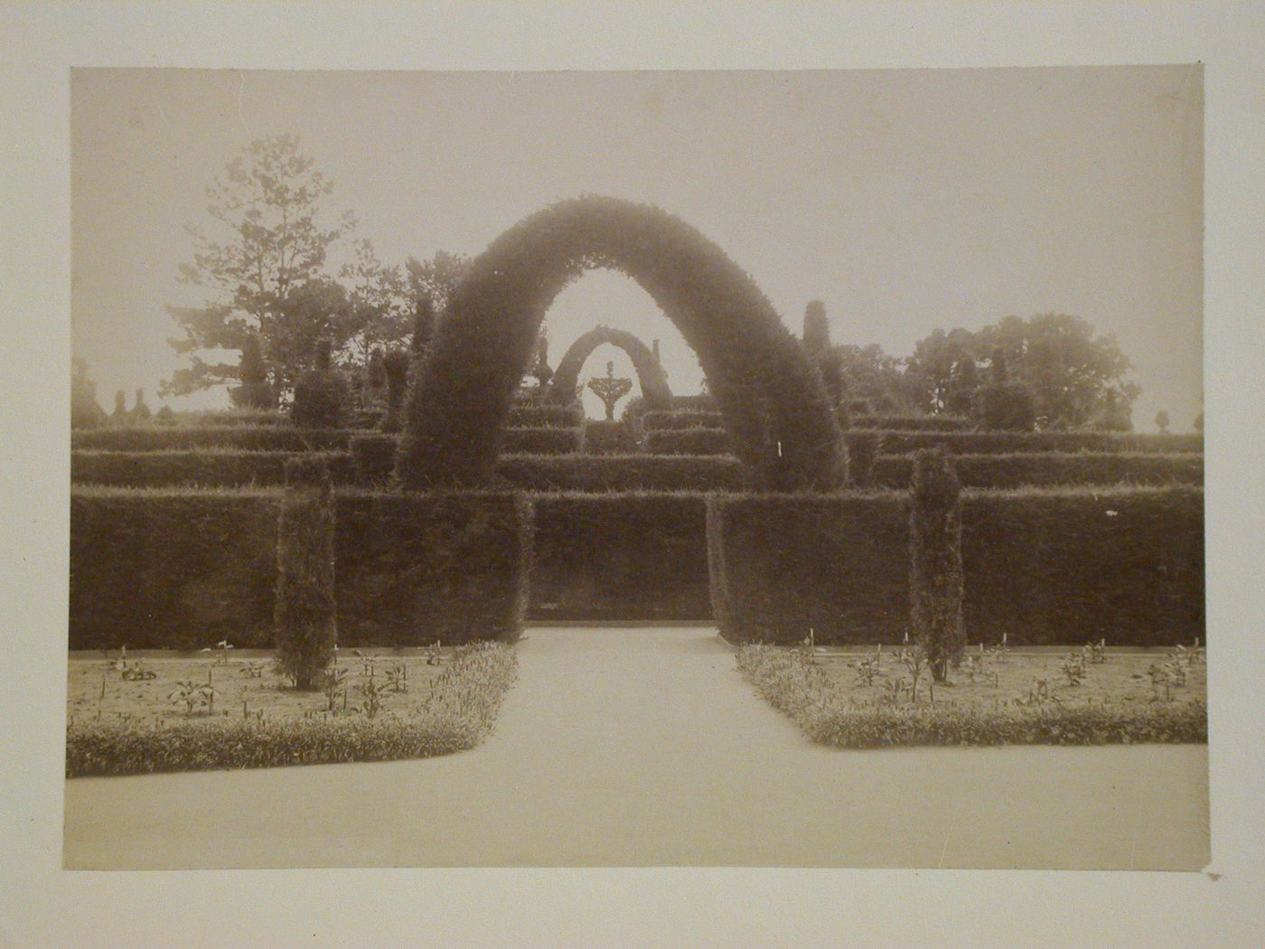 View of the entrance to a hedge maze, California [?]