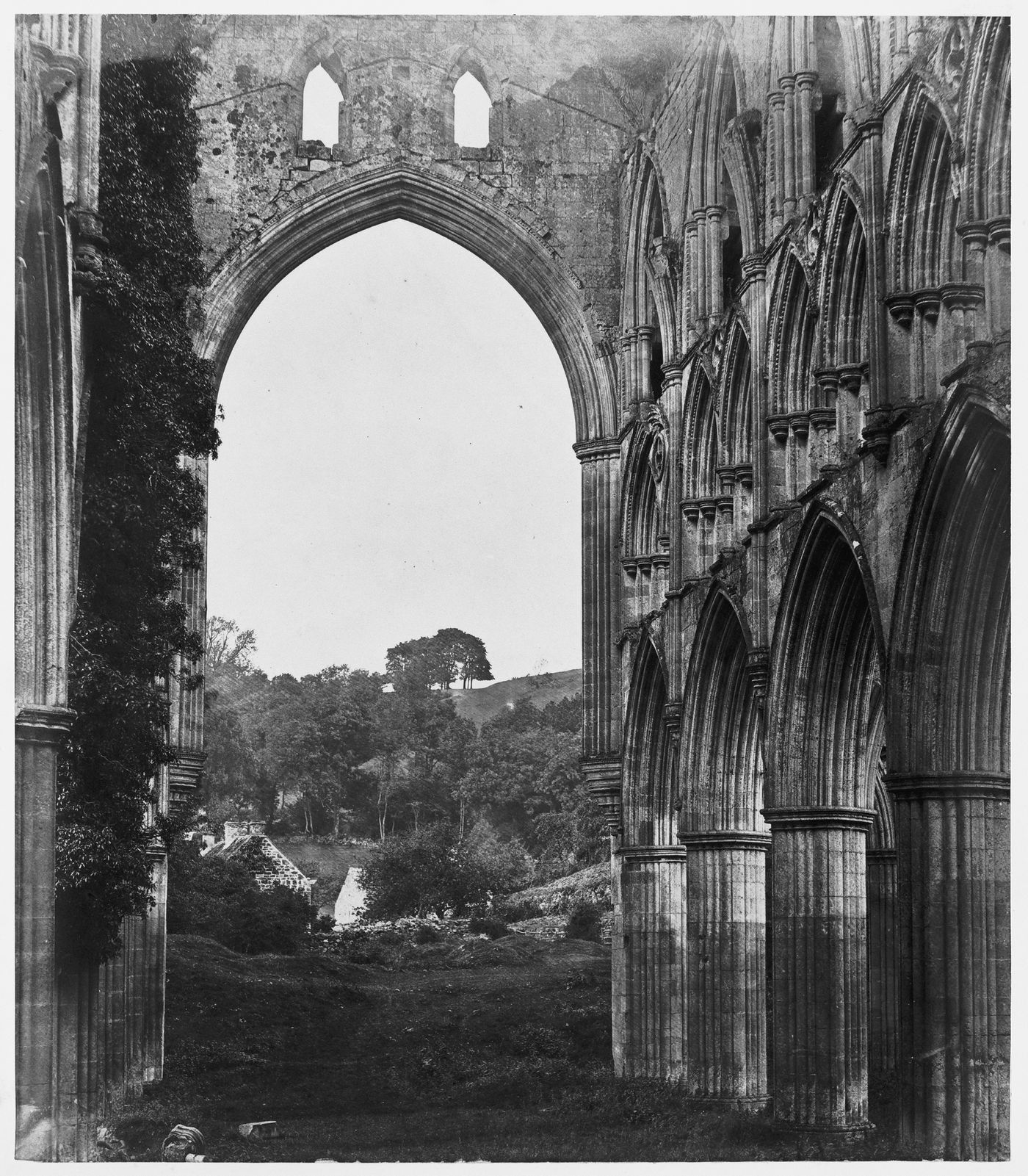 View of the ruined nave, Rievaulx Abbey, North Yorkshire, England