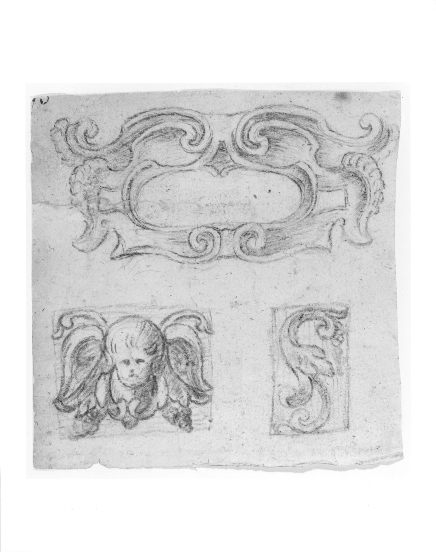 Fragment - design of a cartouche