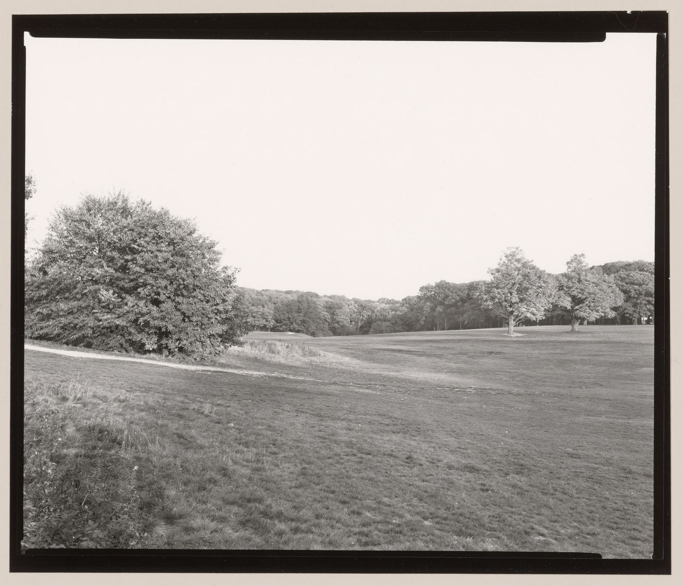 Across Country Meadow to Two Trees, Franklin Park, Boston, Massachusetts