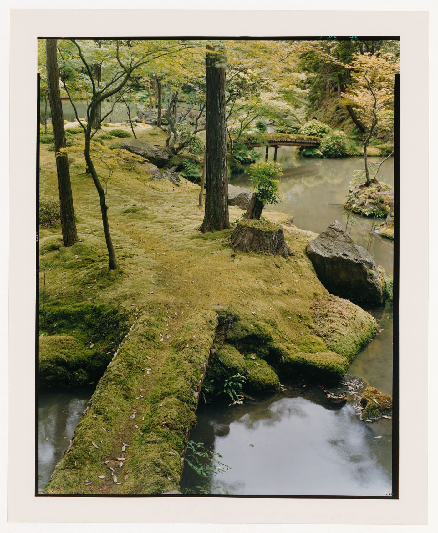 View of two footbridges, a pond and trees in the Moss Garden, Saihoji (also known as Kokedera [Moss Temple]), Kyoto, Japan