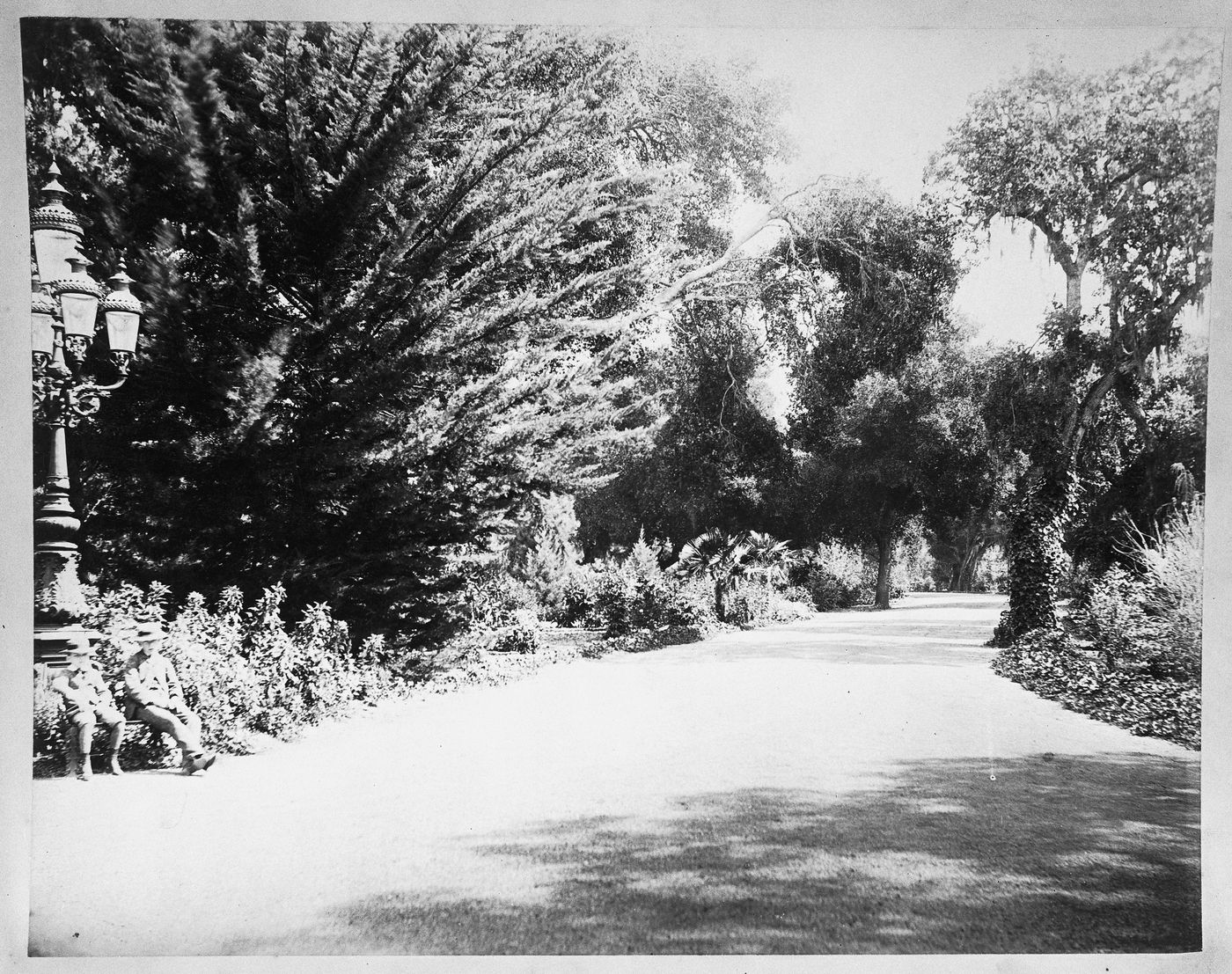 Looking down landscaped driveway with boys sitting under lamp post, Linden Towers, James Clair Flood Estate, Atherton, California