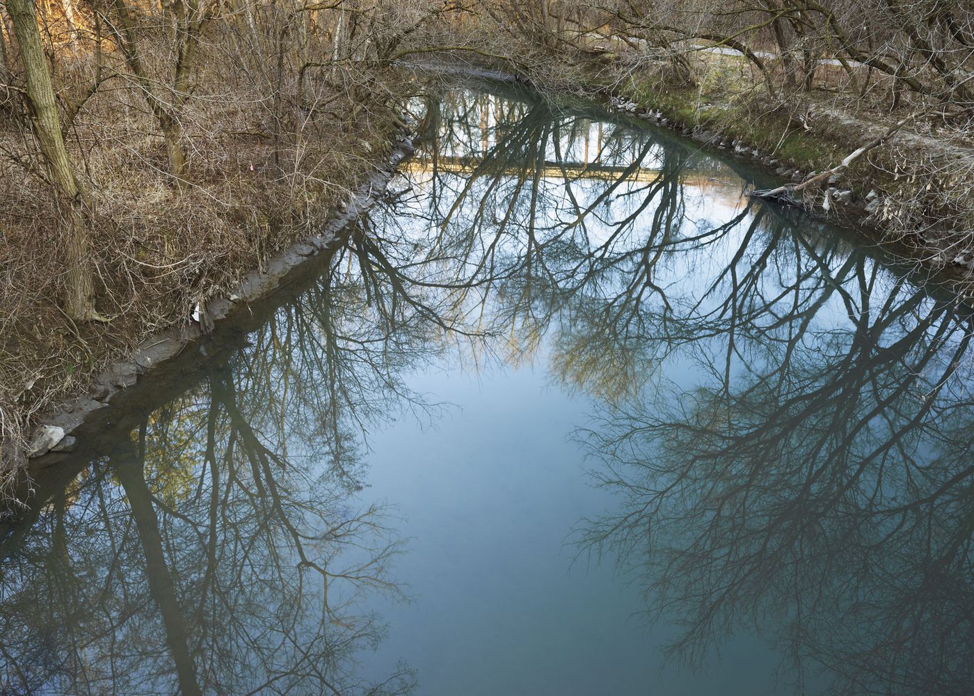 An Enduring Wilderness: East Don River, Charles Sauriol Conservation Area, Toronto