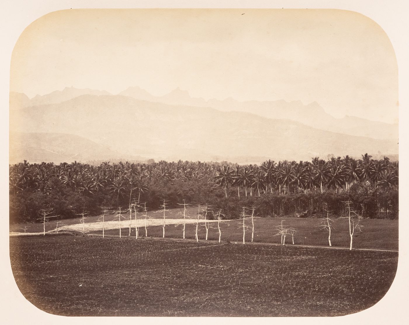 View of cropland and mountains, near Magelang, Dutch East Indies (now Indonesia)