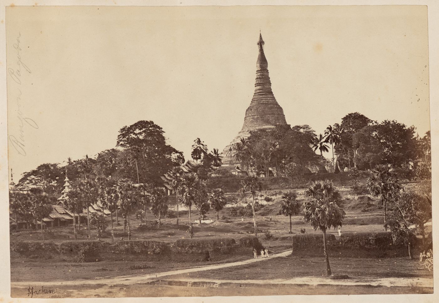 View of the Shwedagon Pagoda with trees in the foreground, Rangoon (now Yangon), Burma (now Myanmar)