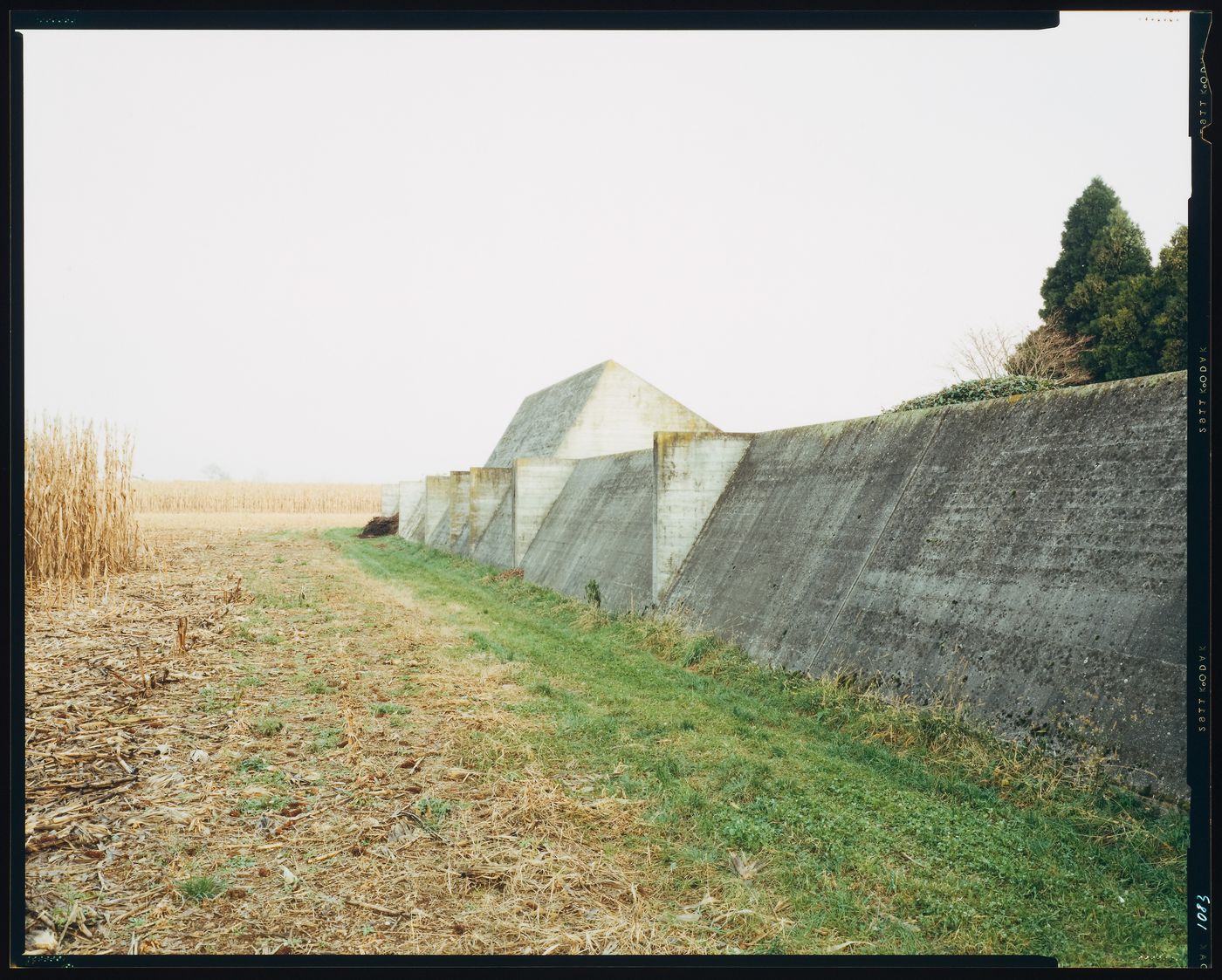 View of the perimeter wall and a corn field, Cimitero Brion, San Vito d'Altivole, near Asolo, Italy