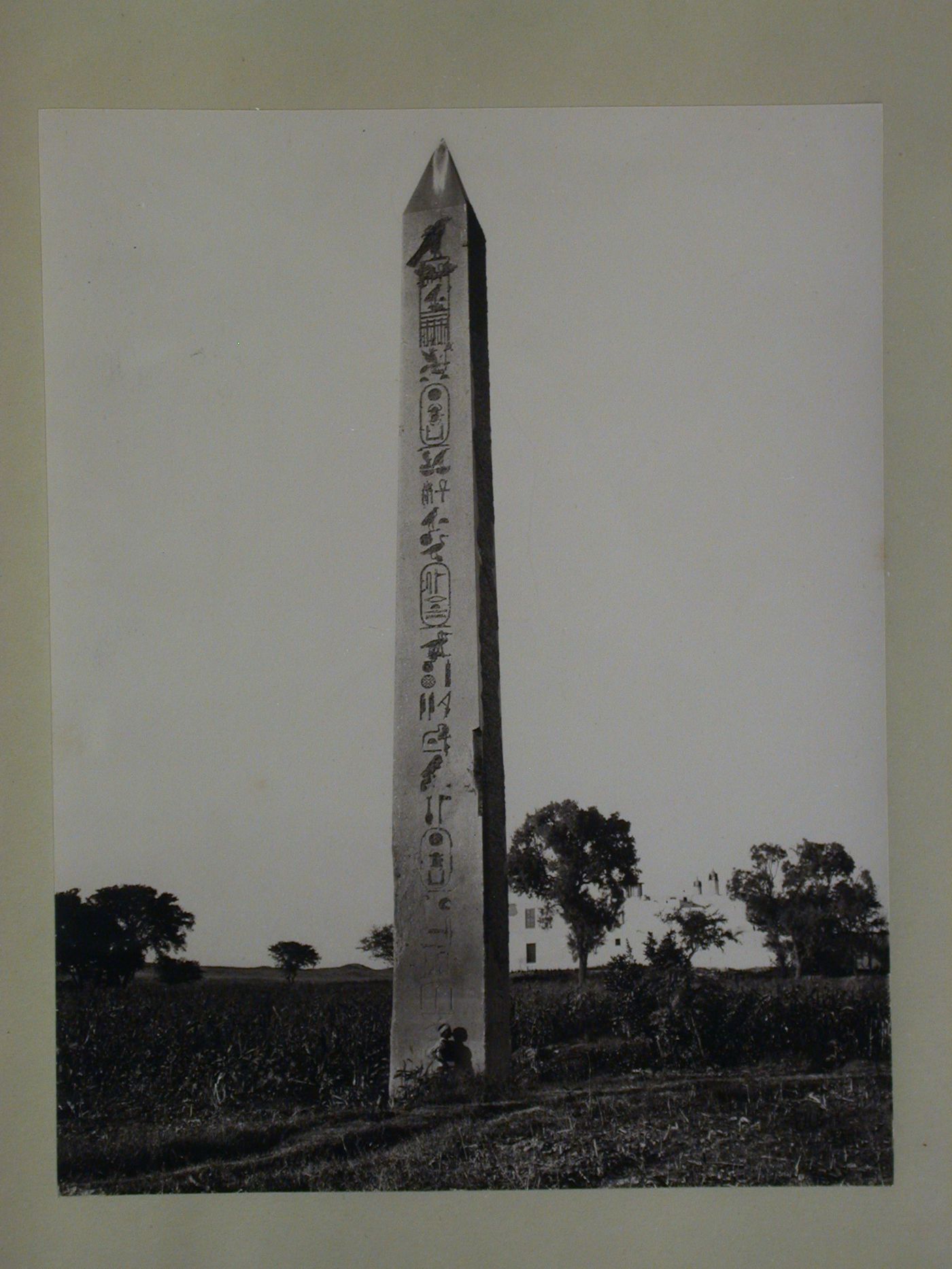 The Obelisk of Senwosret I, Heliopolis, Egypt