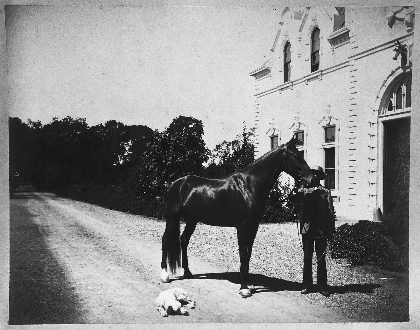 Horse, dog and man in driveway by carriage house, Linden Towers, James Clair Flood Estate, Atherton, California