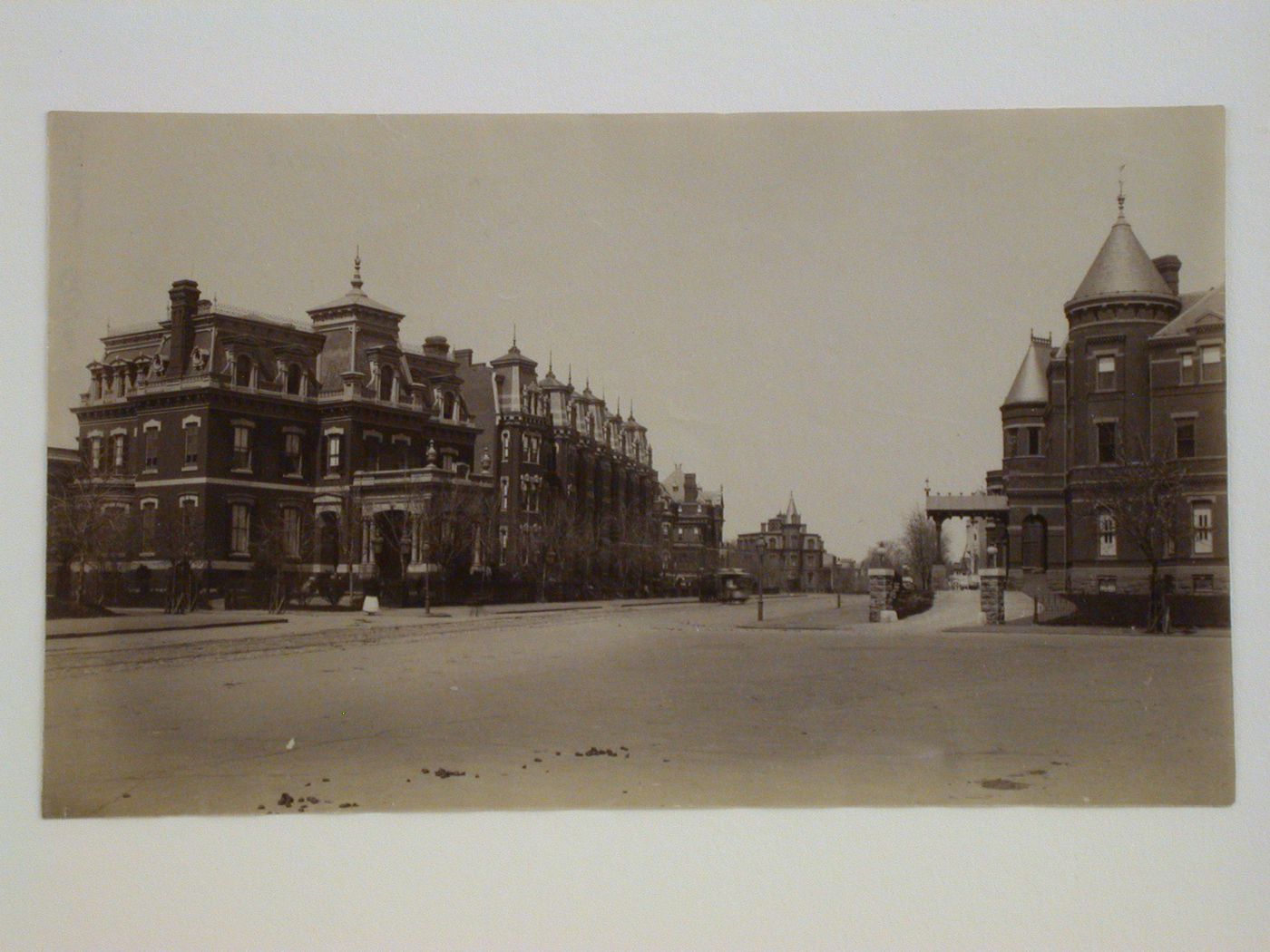 View of tree-lined Avenue with houses, Washington, District of Columbia