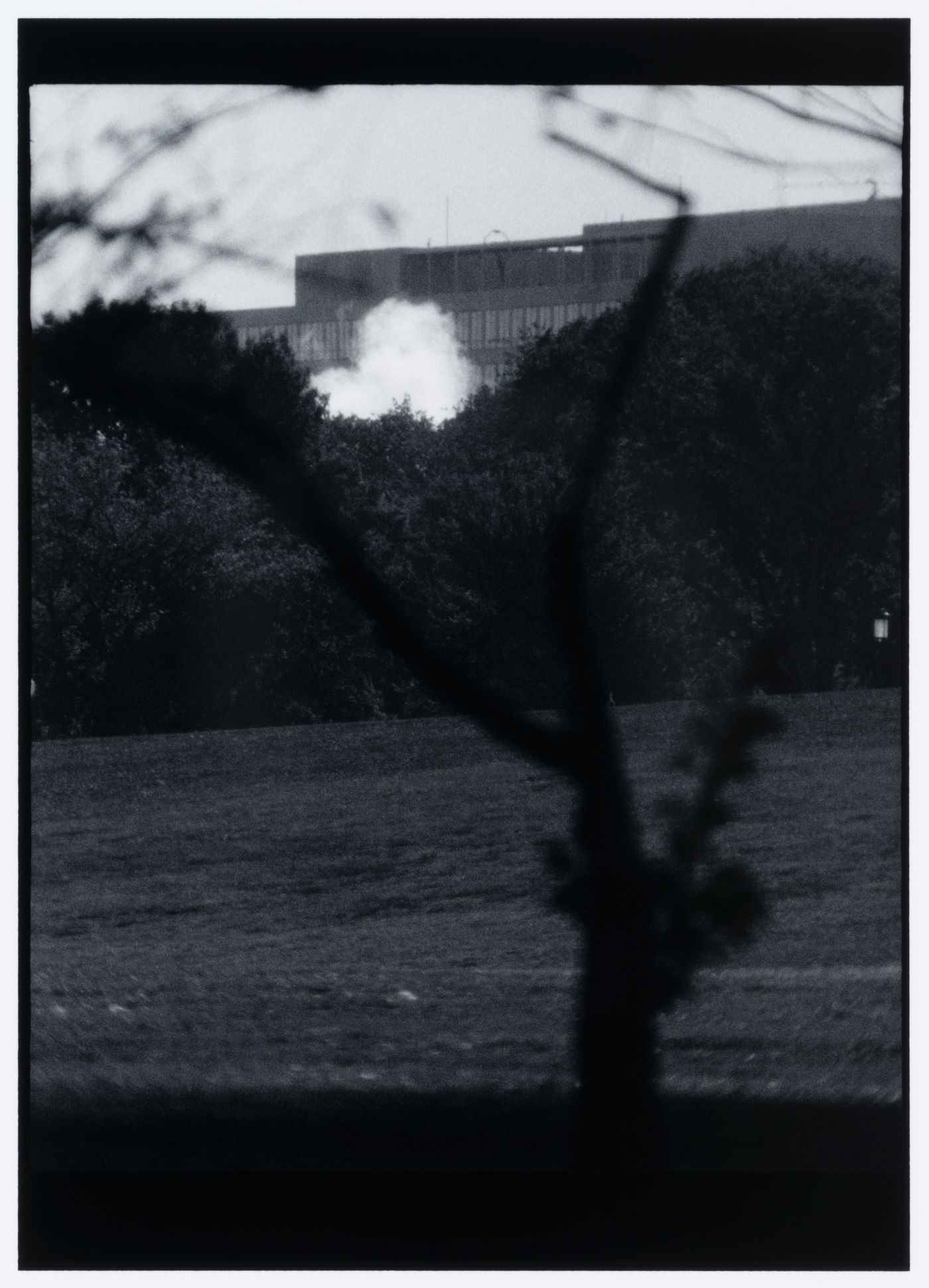 View of the Mall showing a building in the background and a tree in shadow in the foreground, Washington D.C., United States, from the series "Empire"